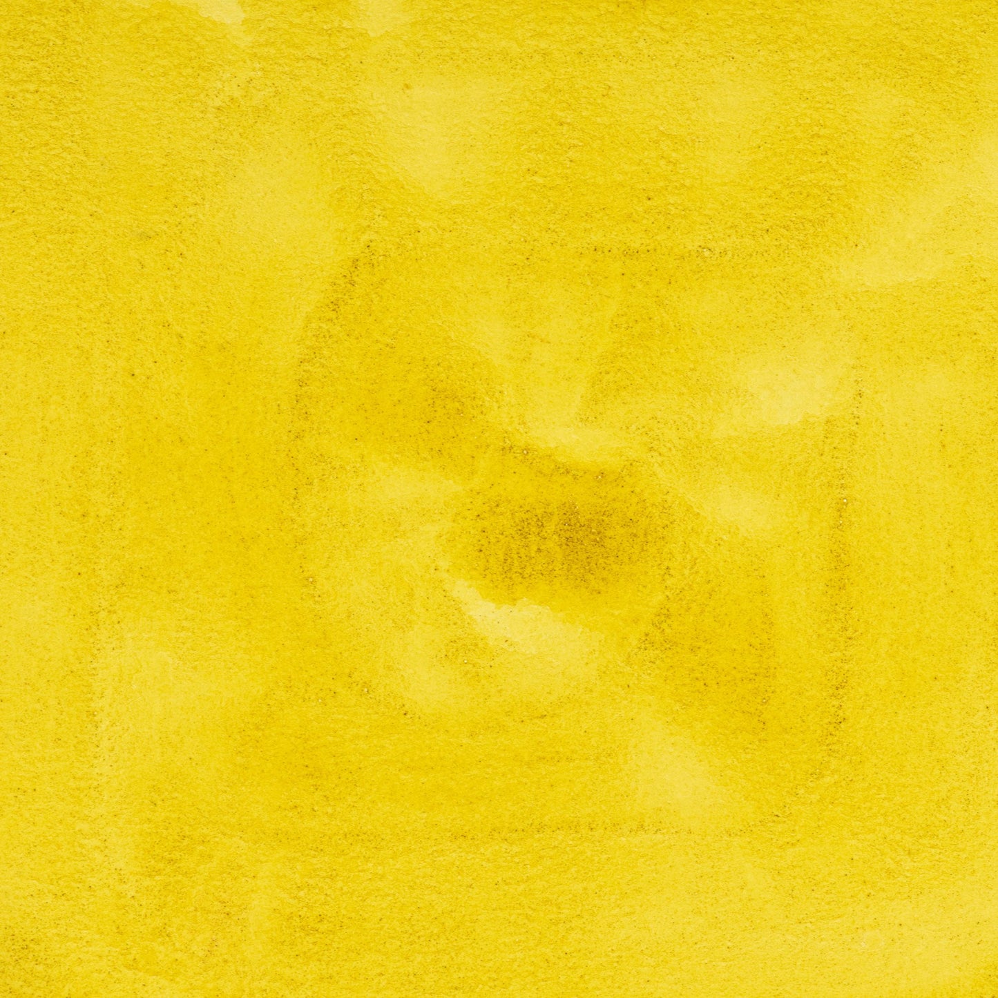 Watercolor painting in brilliant, glowing Arzica Weld Lake Intense Yellow, a natural botanical lake pigment derived from Reseda luteola (weld). One of the oldest known yellow dyes, used in medieval manuscripts, textiles, and early painting. Handcrafted with pure pigment, honey, and gum arabic for archival, professional quality. Transparent, lightfast, and softly staining—ideal for botanical illustration, glazing, and vibrant historical palettes.