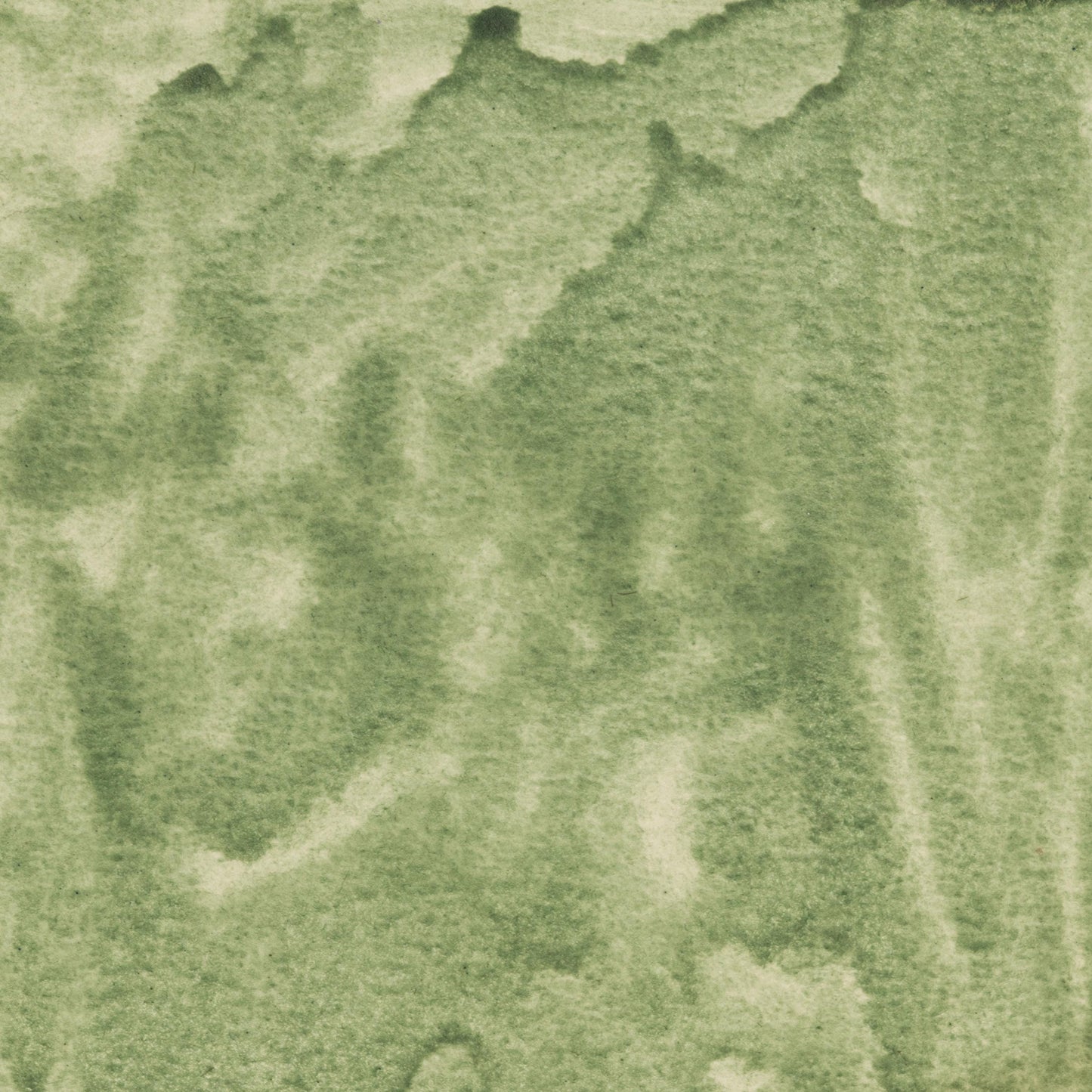 Watercolor painting in muted, cool Celadonite Green Earth, a natural mineral pigment composed of potassium iron silicate, historically mined in Europe and the Middle East. Used in medieval and Renaissance painting for underpainting and natural landscapes. Handcrafted with pure pigment, honey, and gum arabic for archival, professional quality. Lightfast, granulating, and ideal for classical palettes, botanical art, and historical re-creation.