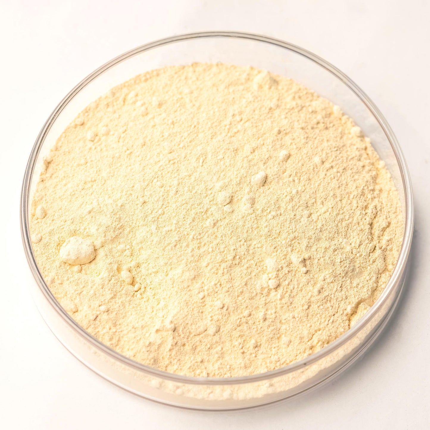 Lead-Tin Yellow