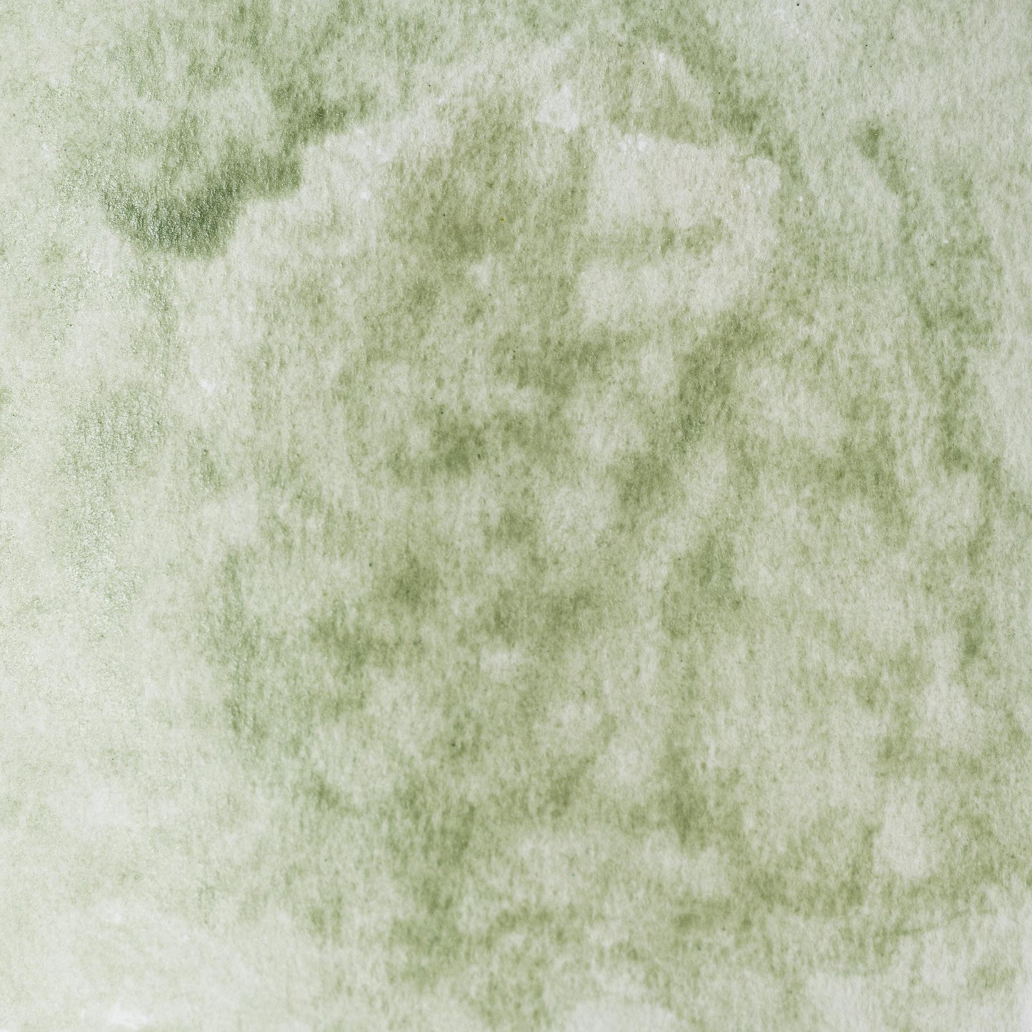 Terre Verte Earth