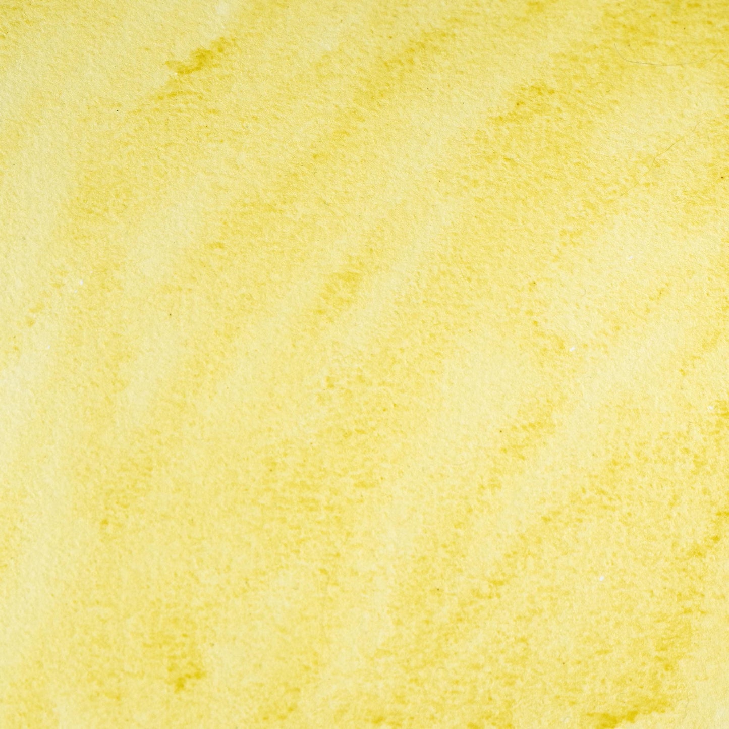 Watercolor painting in delicate, light golden yellow Stil de Grain Light, derived from the early stages of buckthorn berry dye. Handcrafted with honey and gum arabic. Soft, transparent, and plant-based, ideal for layering light glazes, botanical illustrations, and historical manuscript colors.