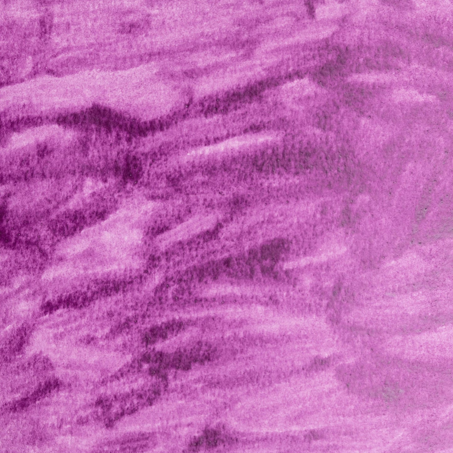 Watercolor painting in soft, floral Manganese Violet, a synthetic pigment composed of manganese phosphate. Introduced in the 19th century as a lightfast, non-toxic alternative to earlier violets. Handcrafted with pure pigment, honey, and gum arabic for archival, professional quality. Subtly granulating and semi-opaque‚Äîideal for florals, portrait work, muted purples, and historically informed fine art palettes.