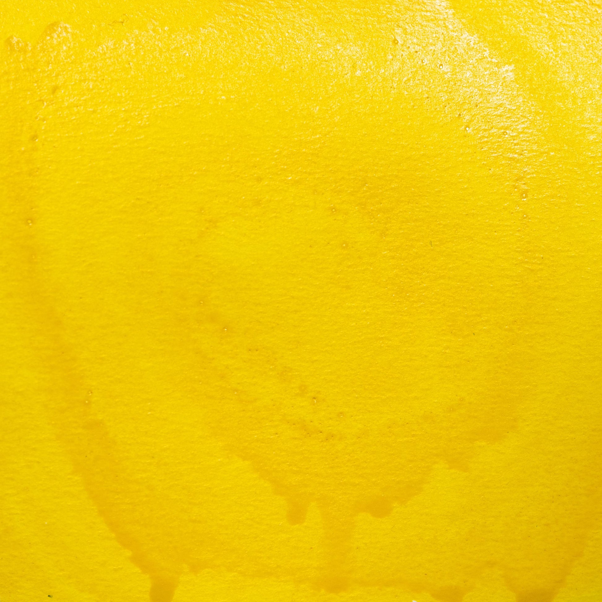 Watercolor painting in bright Hansa Yellow Medium, a modern synthetic organic pigment developed in the 20th century. Known for its vibrancy and transparency. Handcrafted with honey and gum arabic. Non-toxic, archival, and excellent for mixing, glazing, and floral or modern compositions.