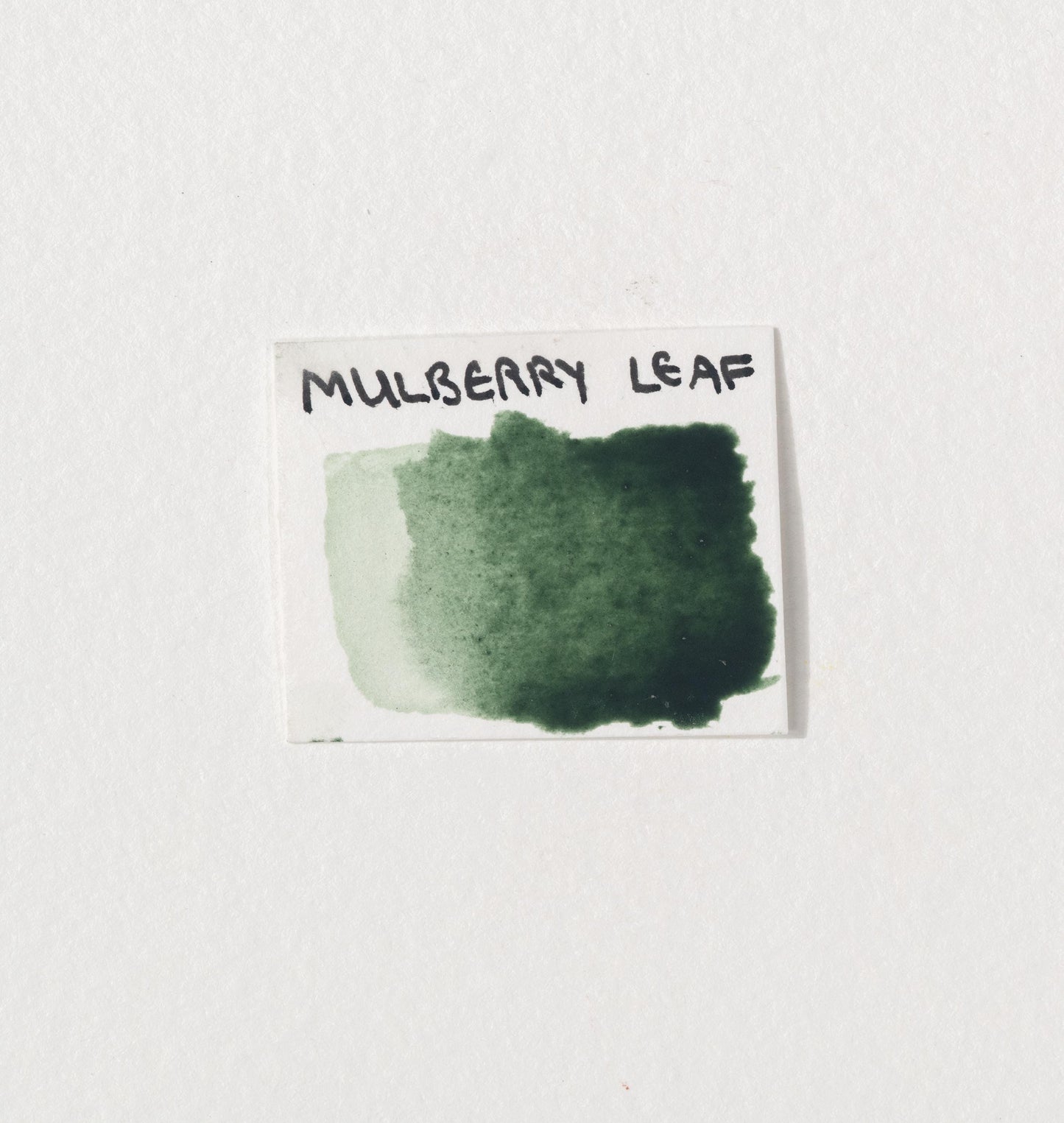 Mulberry Leaf Lake