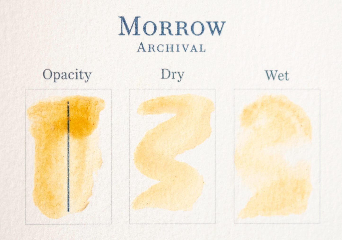 Three swatches of yellow watercolor, made with Greenweed Lake Pigment from natural botanical dyer's greenweed, are labeled Opacity, Dry, and Wet on textured paper under the title Morrow Archival to show varied paint qualities.