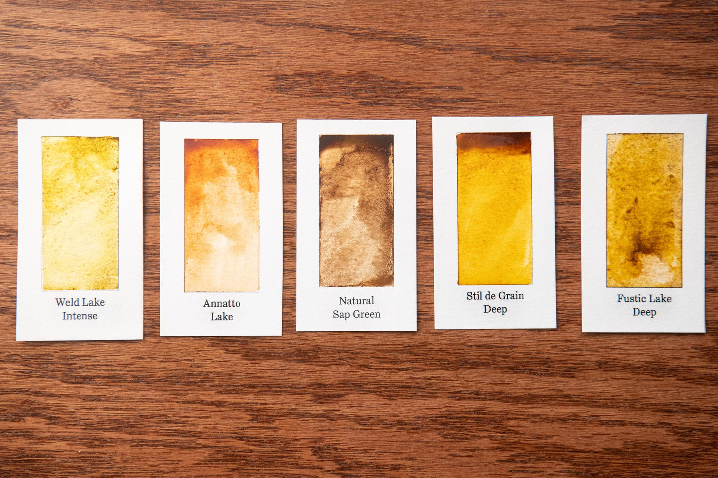five different watercolor paintings arranged in a row on a wooden surface.