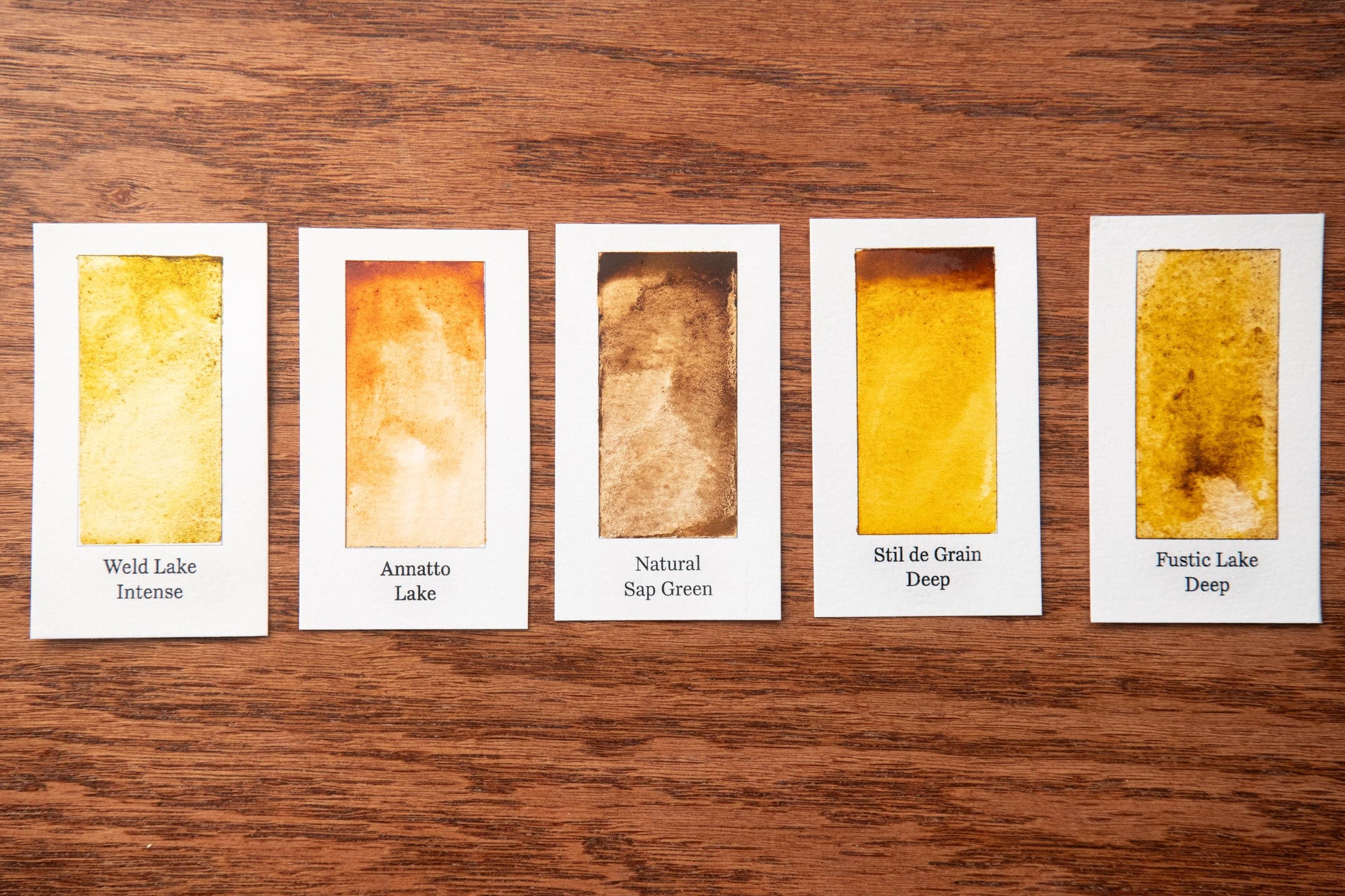 five different watercolor paintings arranged in a row on a wooden surface.