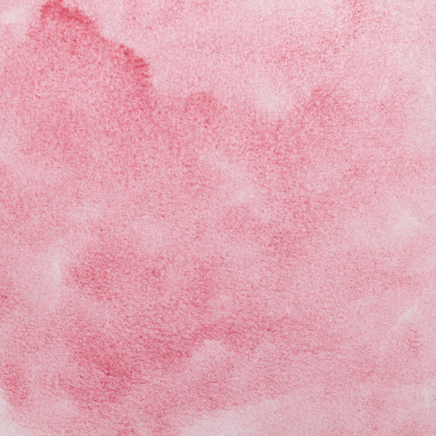 Watercolor painting in vivid crimson-pink from Brazilwood Lake, a natural dye pigment extracted from Caesalpinia echinata or related species. Used since the Middle Ages and prized in medieval manuscripts. Handcrafted with honey and gum arabic for archival-quality art. Bright, transparent red ideal for glazes, botanical work, and layered effects.