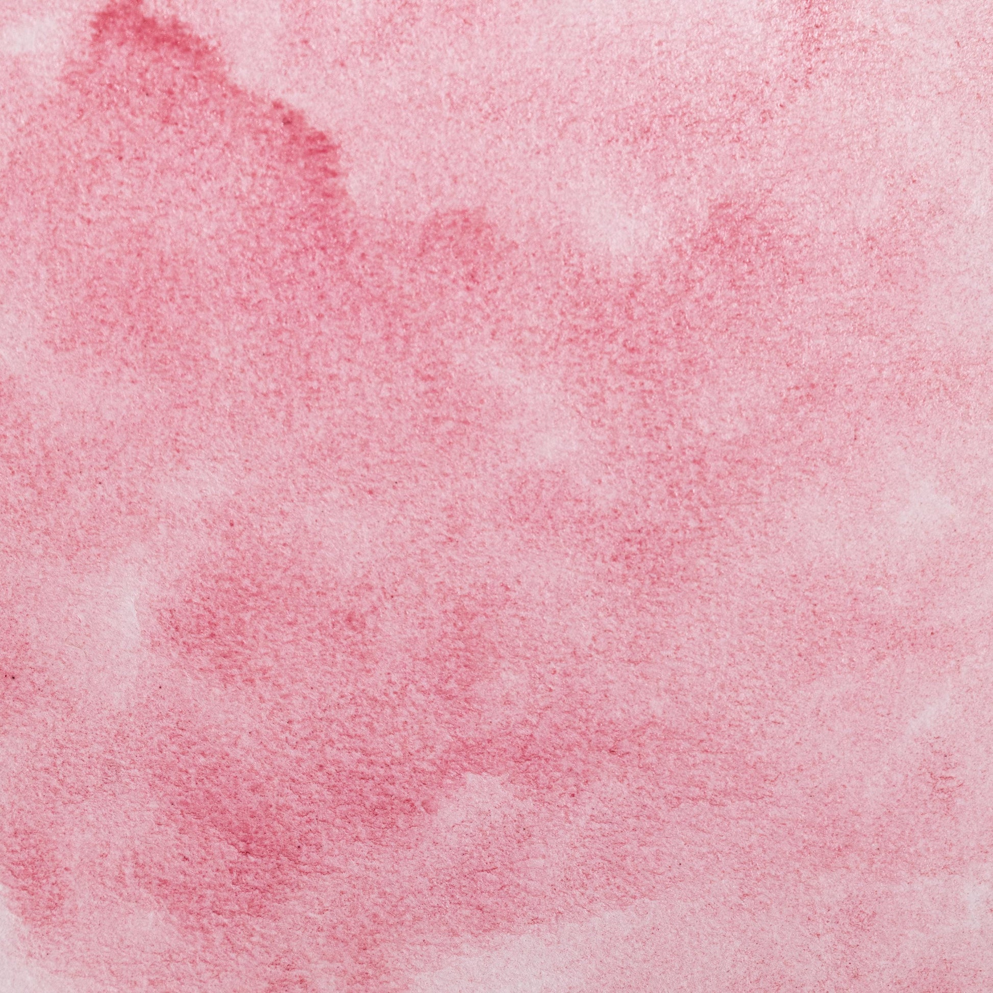 Watercolor painting in vivid crimson-pink from Brazilwood Lake, a natural dye pigment extracted from Caesalpinia echinata or related species. Used since the Middle Ages and prized in medieval manuscripts. Handcrafted with honey and gum arabic for archival-quality art. Bright, transparent red ideal for glazes, botanical work, and layered effects.