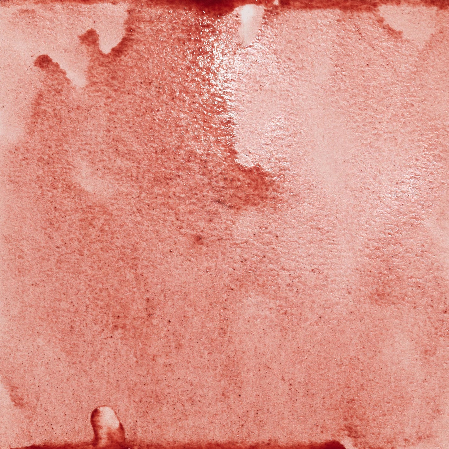 Watercolor painting in warm, rich Madder Lake Medium Red, a natural dye pigment made from fermented Rubia tinctorum roots. Used for centuries in textiles, illuminated manuscripts, and fine painting across Europe and Asia. Handcrafted with pure pigment, honey, and gum arabic for archival, professional quality. Transparent, softly staining, and ideal for glazes, botanical art, and traditional red palettes rooted in historical practice.