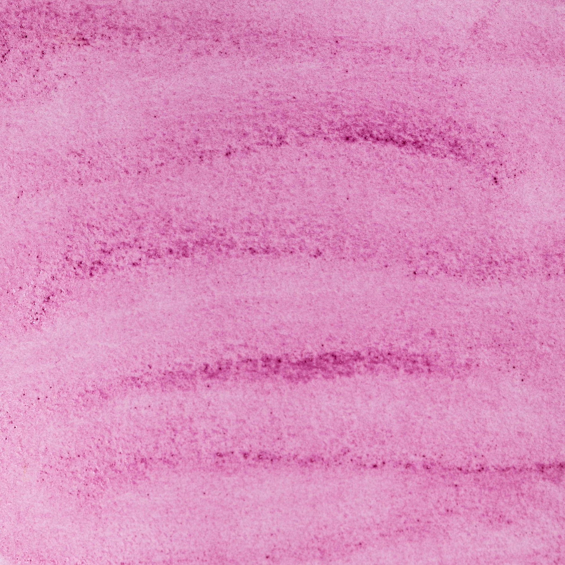 a close up of a Watercolor painting in vivid crimson Cochineal Lake, a natural dye pigment made from insects of the Dactylopius coccus species. Used since pre-Columbian times and popular in European art for centuries. Handcrafted with honey and gum arabic. Bright, transparent, and historically significant, ideal for glazes, manuscripts, and botanical red tones.