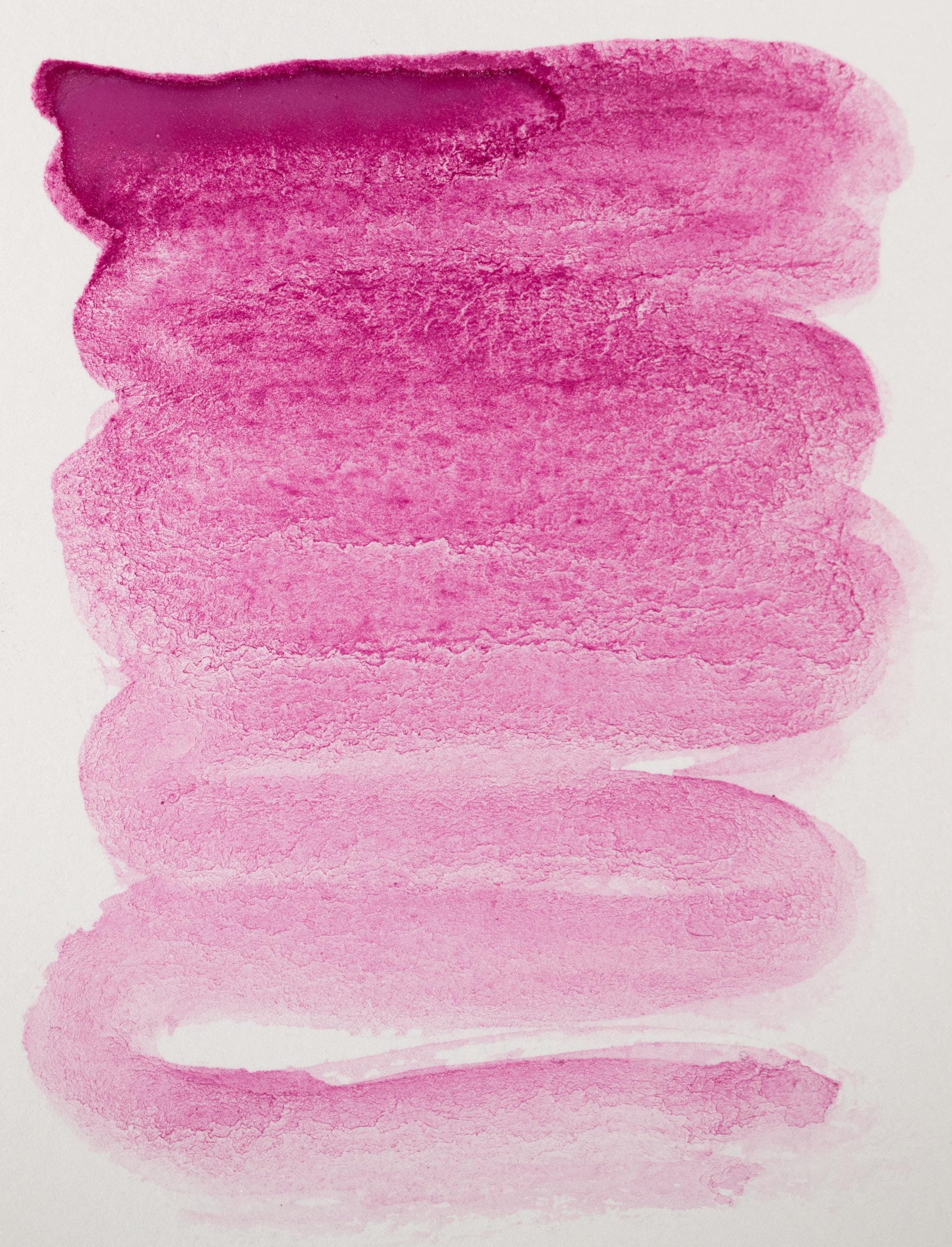 Vibrant swatch of Cochineal Carmine ink revealing a magenta-purple-pink spectrum with excellent chroma. The natural insect-based pigment creates a striking gradient, ideal for calligraphy, medieval illumination, and historically accurate artistic expression.