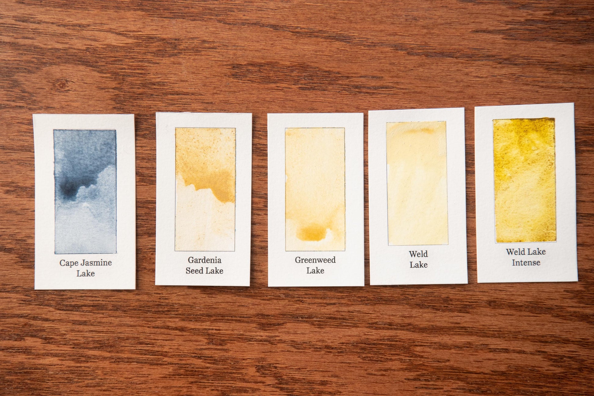 five cards with different watercolor paint swatches, each representing a different lake: Cupe Jasmine Lake, Gardenia Seed Lake, Greenwed Lake, Weld Lake, and Weld Intense.