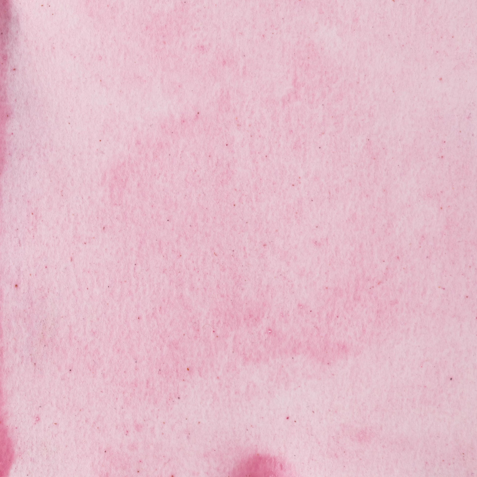 Watercolor painting in soft violet-pink Archil Lichen Lake, a natural dye pigment extracted from Roccella tinctoria lichen, historically used in medieval Europe for manuscripts, textiles, and early inks. Known for its delicate hue and plant-based origin. Handcrafted with pure pigment, honey, and gum arabic for archival, professional quality. Transparent, lightly staining, and ideal for botanical art, historical palettes, and rare pigment collections.