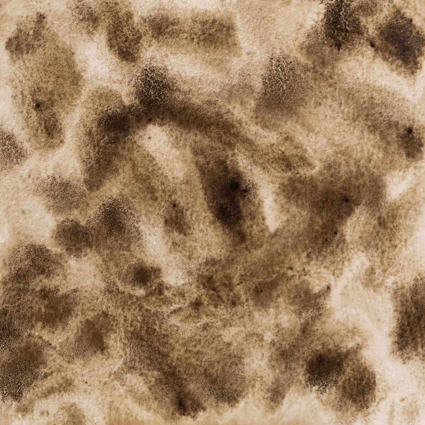 Watercolor painting in cool, earthy Raw Umber, a natural iron oxide pigment sourced from Cyprus and Italy. Used since the Renaissance for underpainting and natural shadow tones. Handcrafted with honey and gum arabic. Richly granulating, lightfast, and ideal for classical palettes, figure work, and landscape depth.