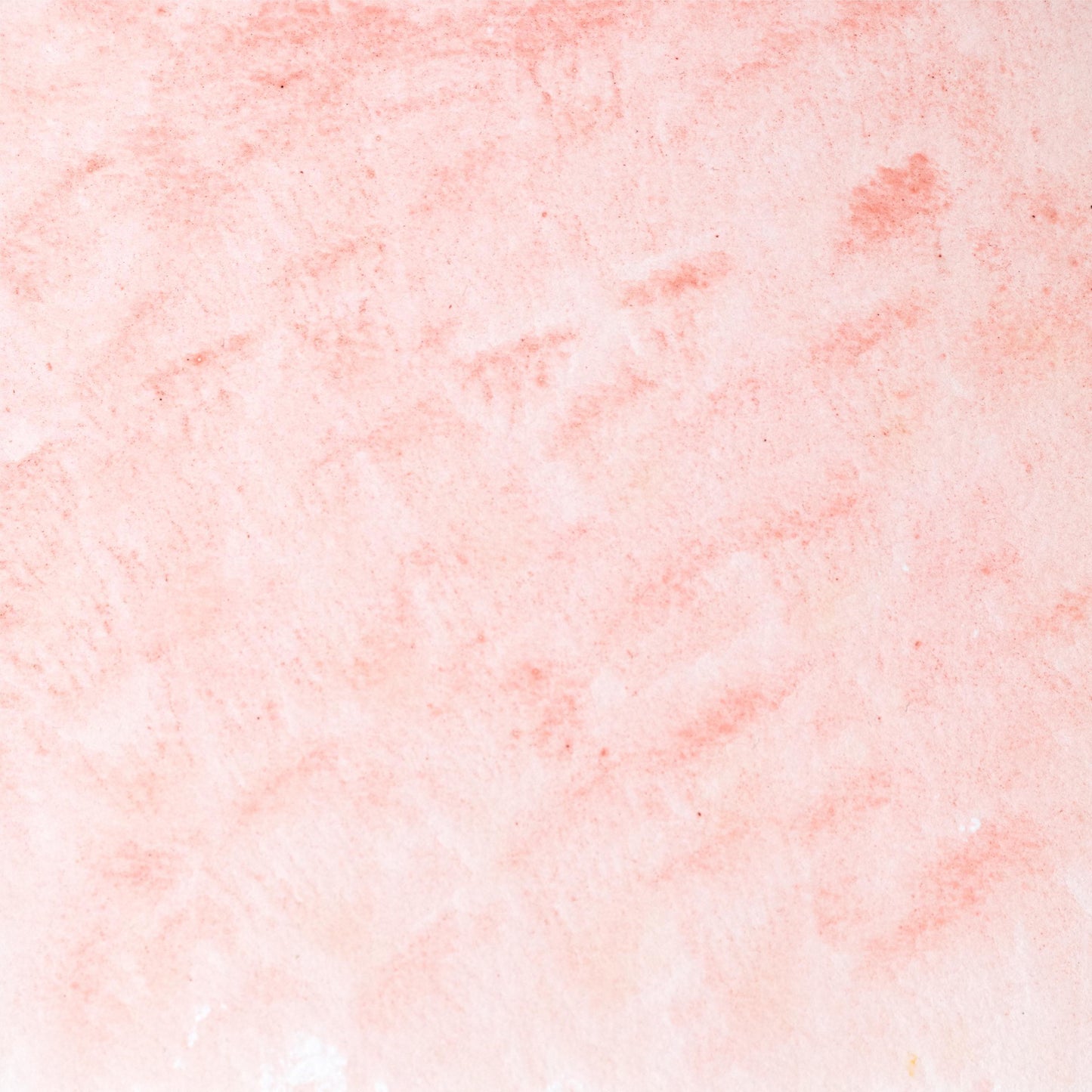 Watercolor painting in soft rose Madder Lake Light, a delicate version of madder root pigment (Rubia tinctorum), historically used for fine glazes and portrait work. Handcrafted with honey and gum arabic. Transparent and lightfast, ideal for botanical illustration, soft pink tones, and traditional European palettes.