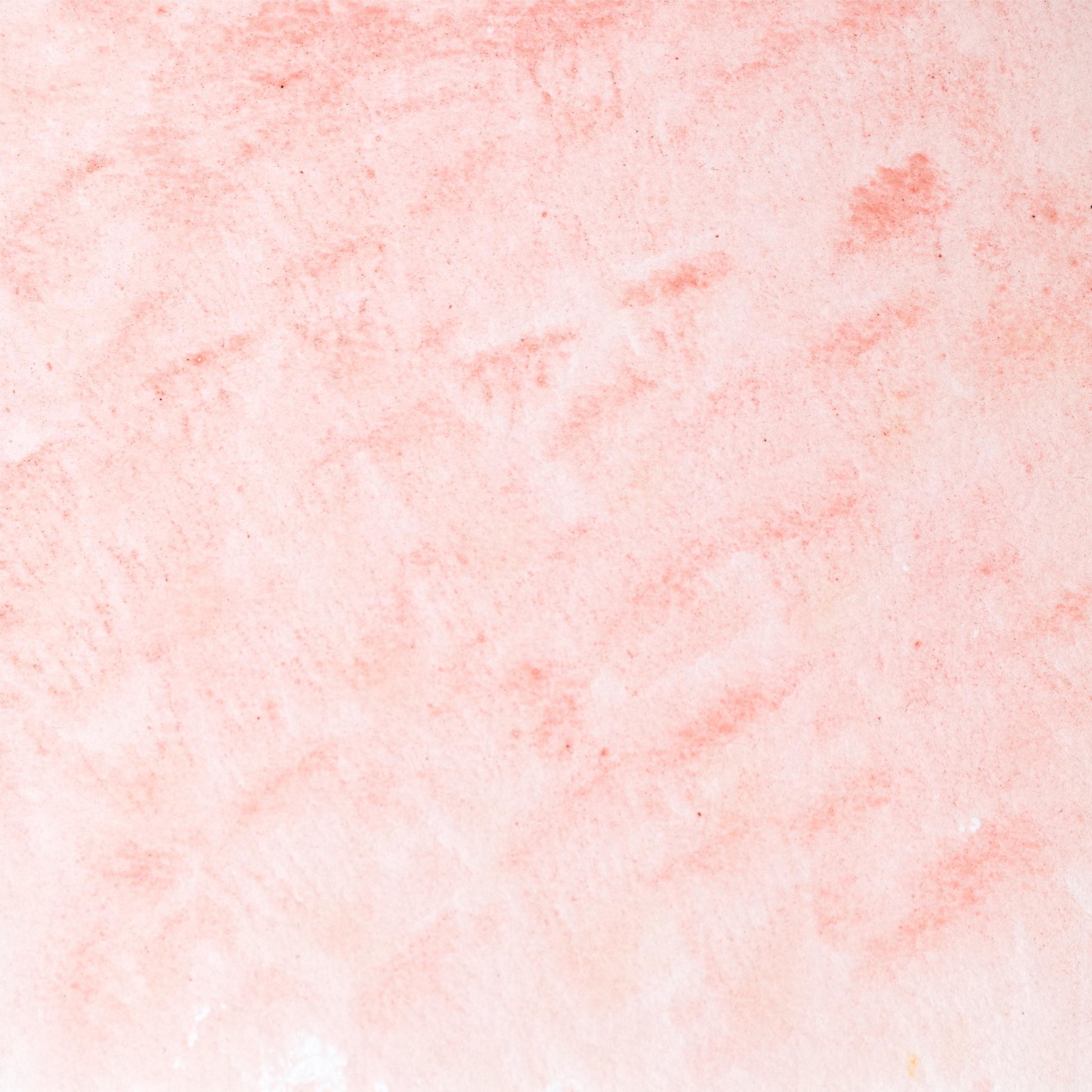 Watercolor painting in soft rose Madder Lake Light, a delicate version of madder root pigment (Rubia tinctorum), historically used for fine glazes and portrait work. Handcrafted with honey and gum arabic. Transparent and lightfast, ideal for botanical illustration, soft pink tones, and traditional European palettes.