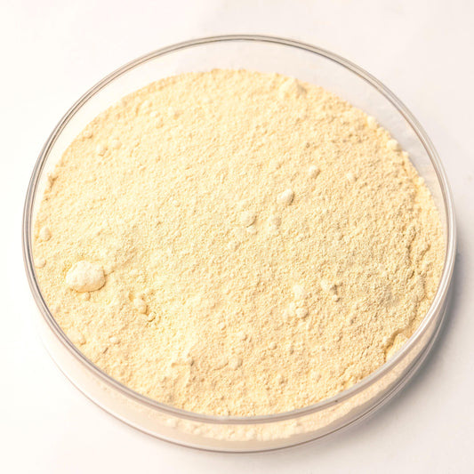 Lead-Tin Yellow