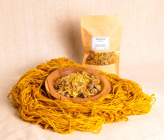 Calendula Marigold natural dye by Morrow Archival, shown as a soft golden-orange powder in a wooden bowl, surrounded by sunny yellow-dyed wool yarn with a labeled kraft pouch in the background. Made from dried Calendula officinalis petals, this plant-based dye yields warm yellows and golds prized in folk textiles and botanical dyeing. Ideal for eco-conscious artists, historical dyeing, and natural fiber projects using sustainable color.