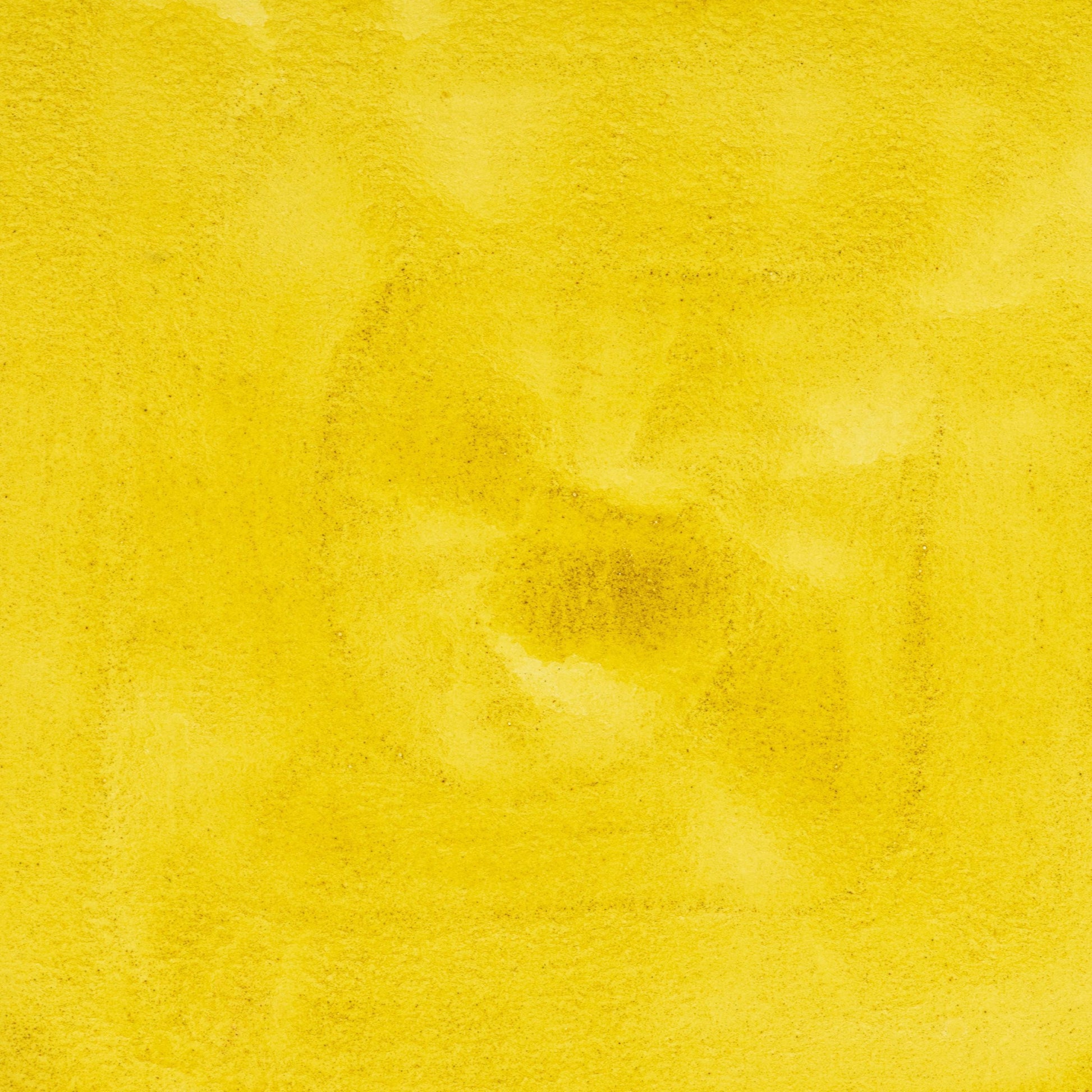 Watercolor painting in brilliant, glowing Arzica Weld Lake Intense Yellow, a natural botanical lake pigment derived from Reseda luteola (weld). One of the oldest known yellow dyes, used in medieval manuscripts, textiles, and early painting. Handcrafted with pure pigment, honey, and gum arabic for archival, professional quality. Transparent, lightfast, and softly staining‚Äîideal for botanical illustration, glazing, and vibrant historical palettes.
