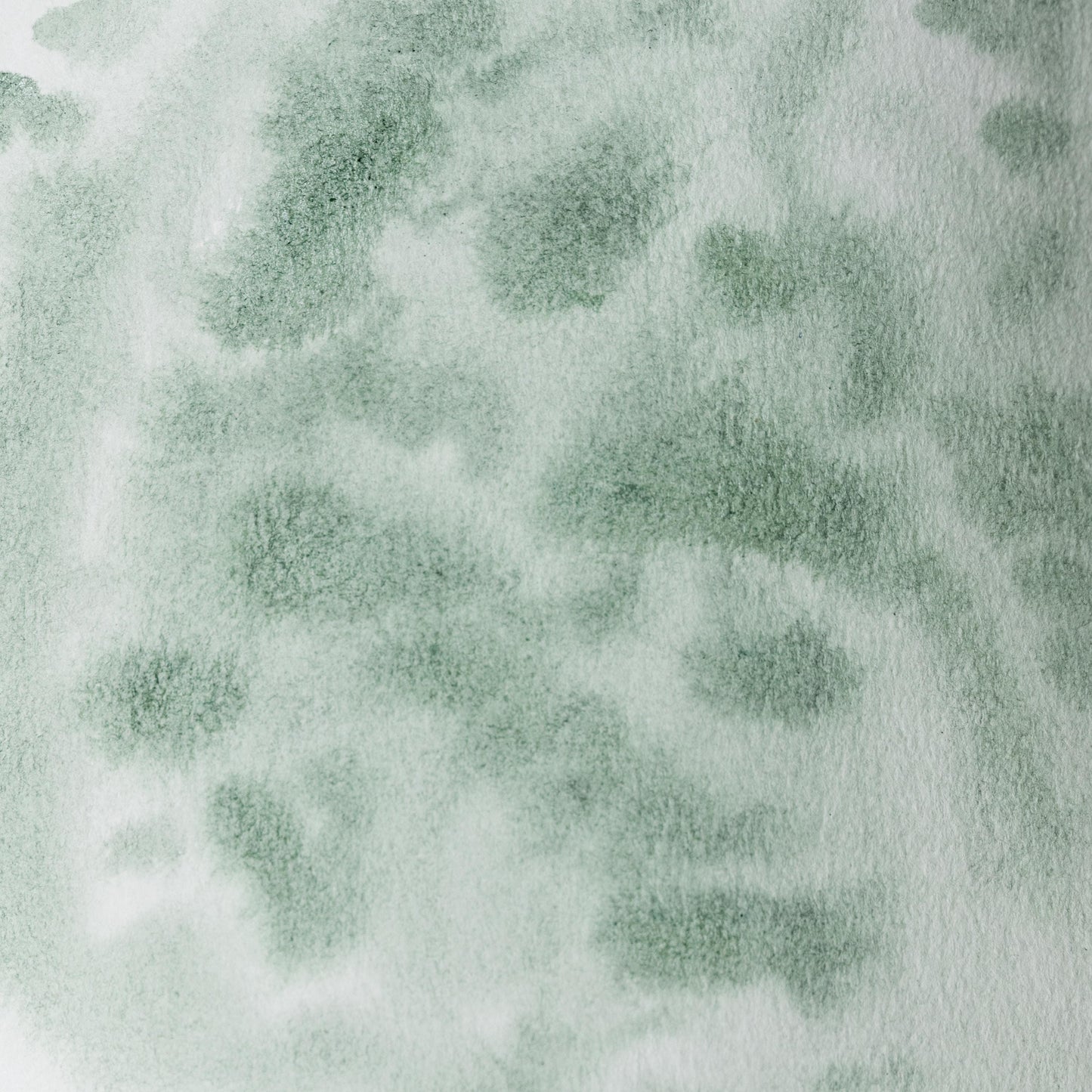 Watercolor painting in gentle yellow-green Mulberry Leaf Lake, made from natural dye extracted from Morus alba leaves. Traditionally used in East Asian art and textile dyeing. Handcrafted with honey and gum arabic. Transparent and plant-based, ideal for soft layering, foliage, and historical botanical studies.