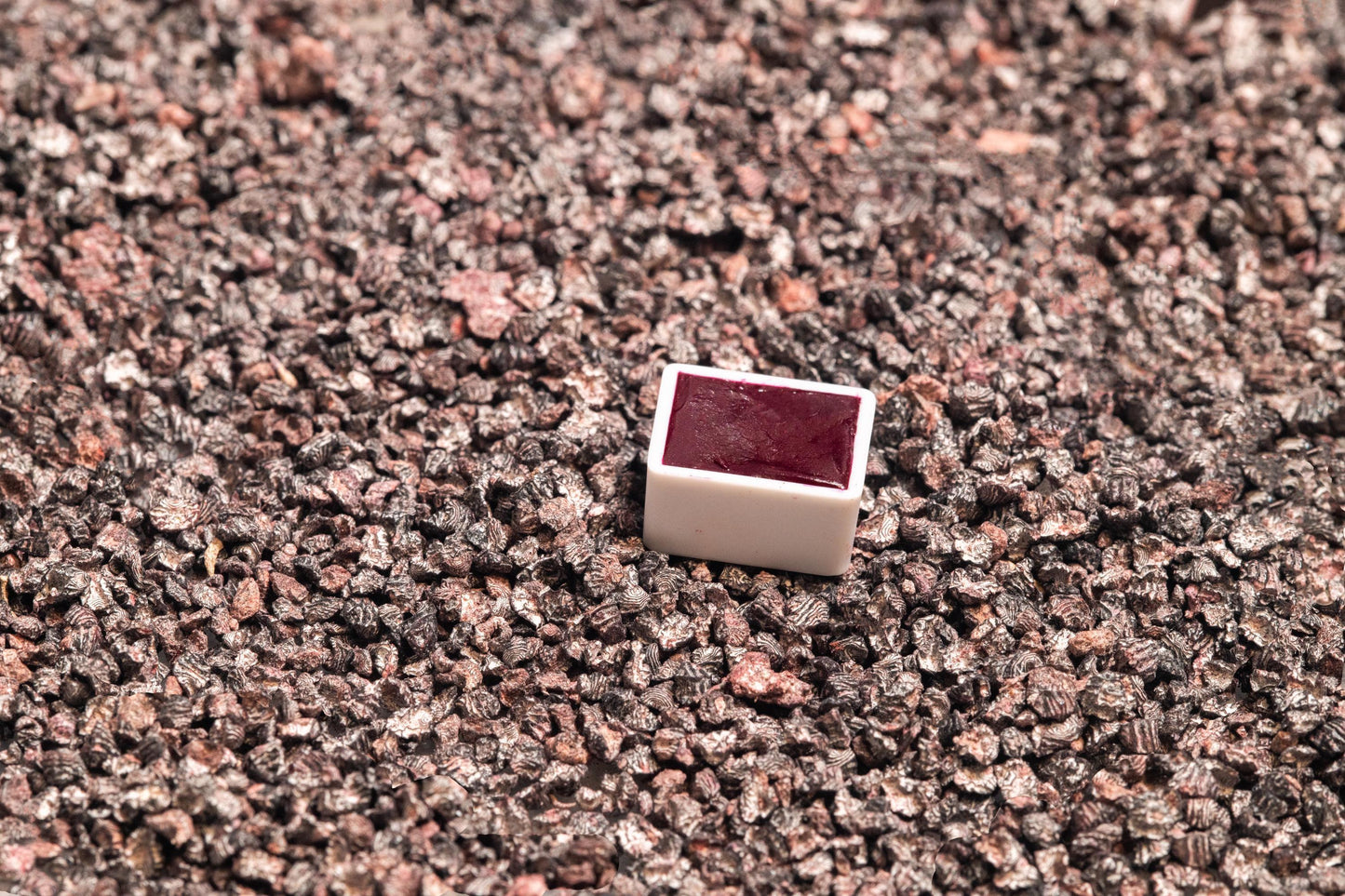 Cochineal Carmine watercolor half pan resting on whole dried cochineal insects, the natural source of this vibrant crimson pigment. Handcrafted using traditional methods, this artist-grade watercolor delivers rich, lightfast reds with a luminous pink undertone prized in historical art and textiles. Ideal for botanical illustration, manuscript recreation, and natural dye enthusiasts. For cochineal carmine watercolor, insect-based pigments, and handmade natural artist supplies.