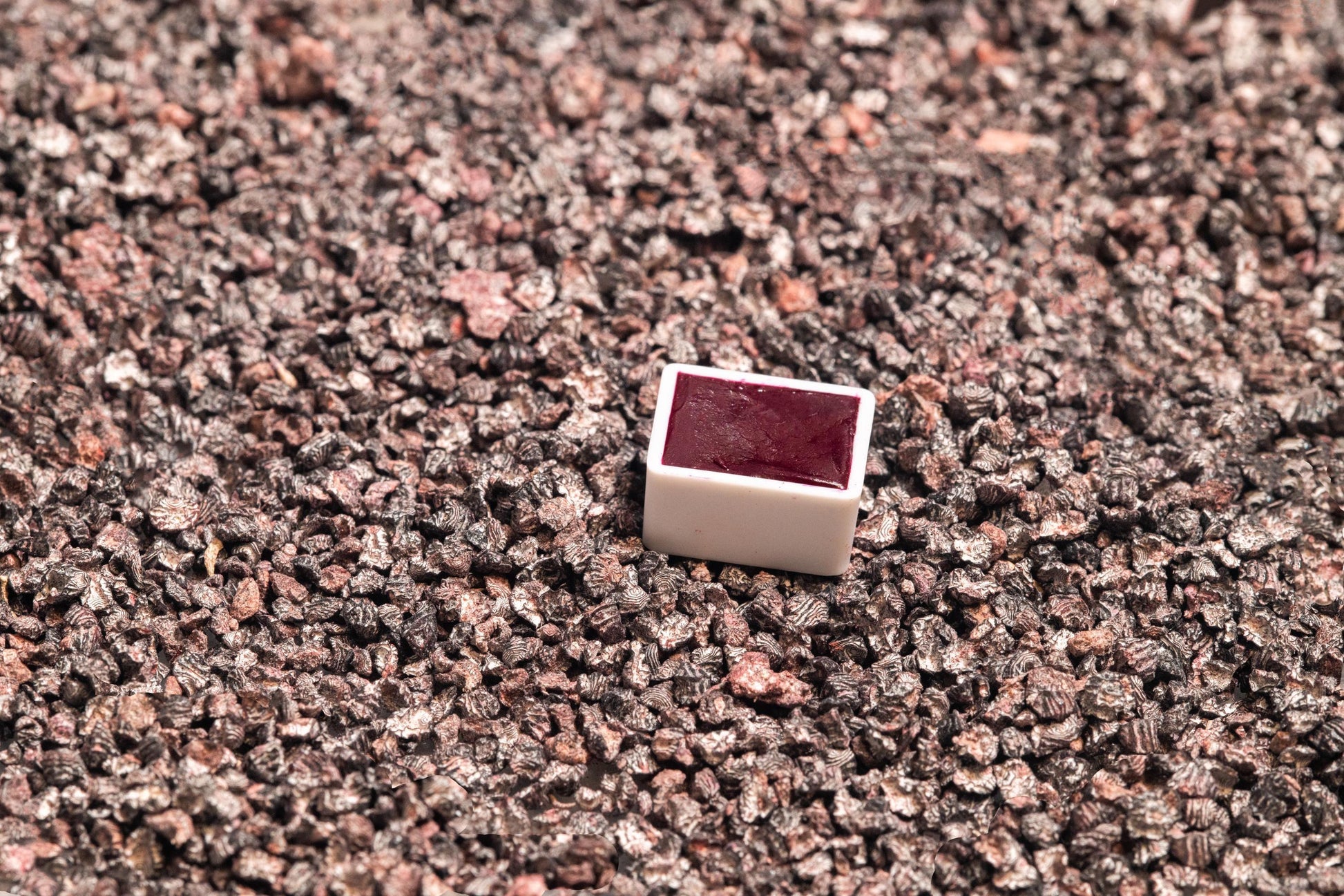 Cochineal Carmine watercolor half pan resting on whole dried cochineal insects, the natural source of this vibrant crimson pigment. Handcrafted using traditional methods, this artist-grade watercolor delivers rich, lightfast reds with a luminous pink undertone prized in historical art and textiles. Ideal for botanical illustration, manuscript recreation, and natural dye enthusiasts. For cochineal carmine watercolor, insect-based pigments, and handmade natural artist supplies.