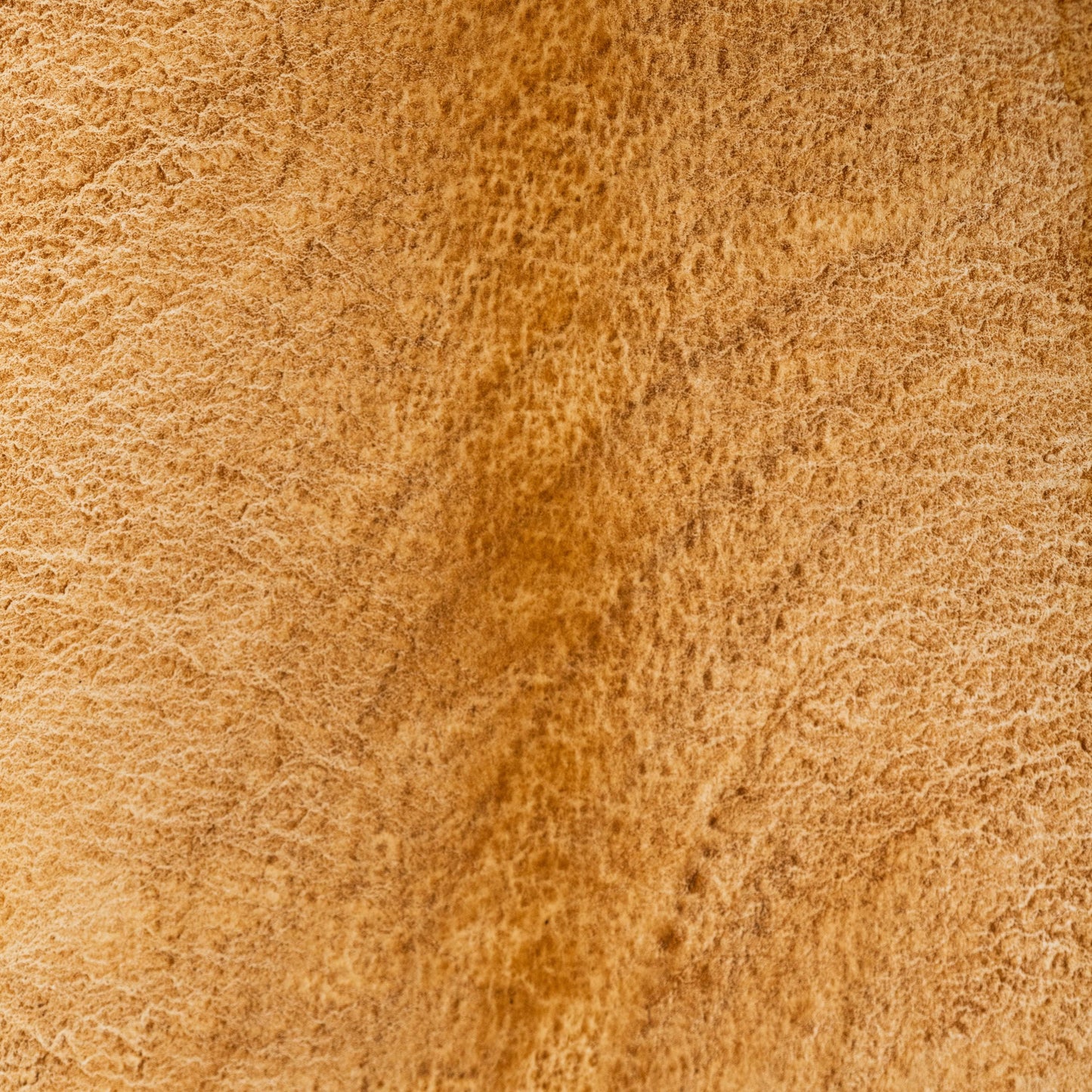 Watercolor painting in glowing golden Indian Yellow, historically made from the urine of cows fed on mango leaves in 18th-century India (now made ethically from plant-based dyes). Known for its transparency and warmth. Handcrafted with honey and gum arabic. Lightfast and radiant, ideal for glazing, botanical work, and luminous light effects.