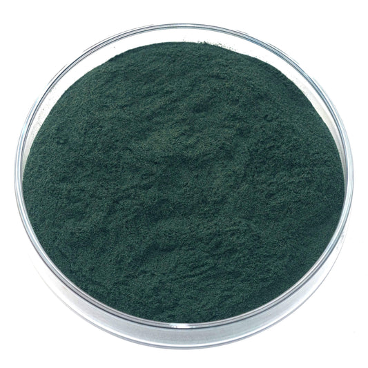 Chlorophyllin pigment, a vibrant green derived from plant chlorophyll, known for its natural origin and biological significance. Used in textile dyeing, natural inks, and artistic applications, it offers a rich, organic green with moderate lightfastness. Ideal for watercolor, botanical illustration, and eco-friendly art. Finely processed for professional-quality results. Available in various sizes.