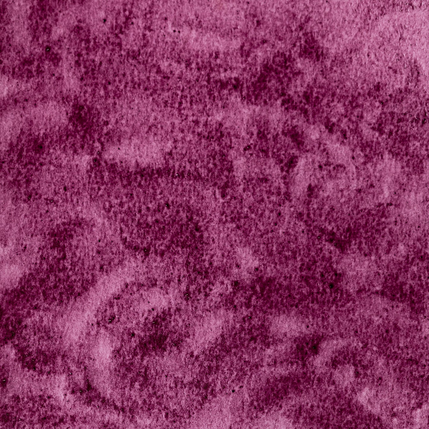 Watercolor painting in brilliant pink-red Lac Lake, made from the resinous secretions of the Kerria lacca insect, used in Indian and European art for centuries. Handcrafted with honey and gum arabic. Deeply saturated, transparent, and historically significant. Ideal for delicate glazes and botanical or manuscript work.