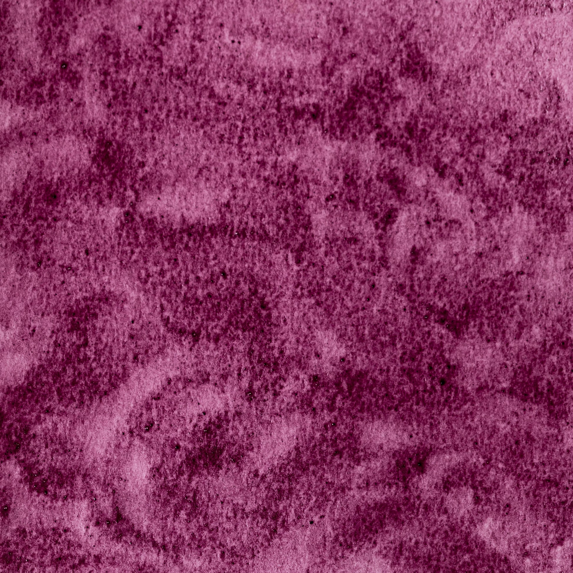 Watercolor painting in brilliant pink-red Lac Lake, made from the resinous secretions of the Kerria lacca insect, used in Indian and European art for centuries. Handcrafted with honey and gum arabic. Deeply saturated, transparent, and historically significant. Ideal for delicate glazes and botanical or manuscript work.