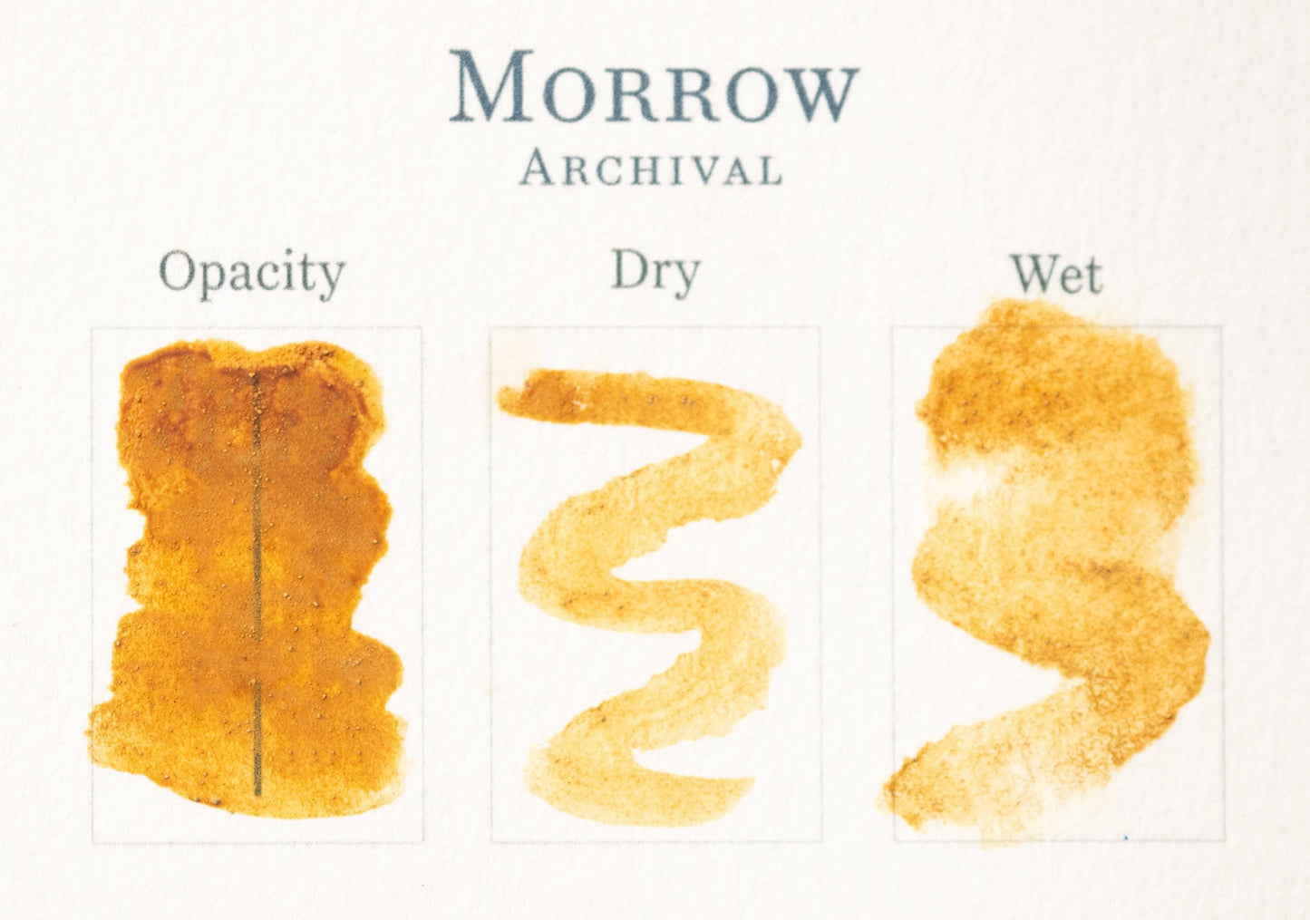 St. John's Wort Lake Yellow Watercolor Paint