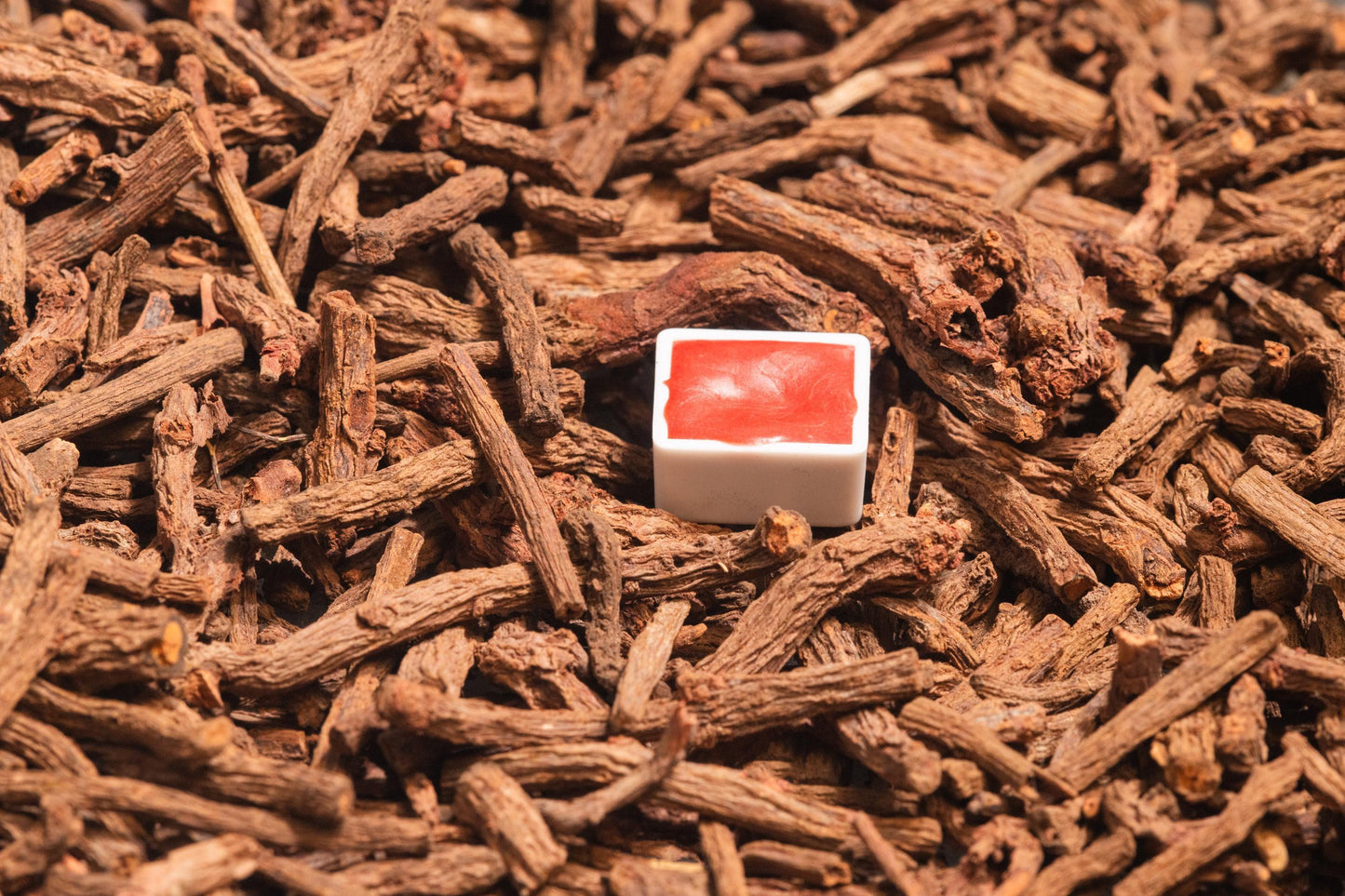 Madder Lake Light watercolor half pan resting on dried madder roots, the botanical source of its brilliant, warm red pigment. This handmade artist-grade watercolor is crafted from fermented madder root and laked using traditional techniques for rich, lightfast color. Perfect for natural pigment lovers, historical palettes, and fine botanical art. For madder lake watercolor, natural red pigments, and handmade eco-friendly artist supplies.