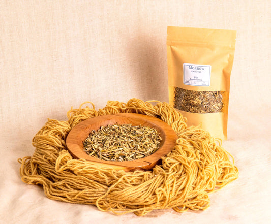 Weld Dye by Morrow Archival, shown as a soft yellow powder in a wooden bowl, alongside brilliant yellow-dyed wool yarn and a labeled kraft pouch. Derived from Reseda luteola, one of the oldest known yellow dye plants, weld produces clear, lightfast yellows used in medieval European tapestries and botanical dye traditions. Perfect for natural dyeing, historic reproduction, and sustainable fiber arts seeking luminous plant-based color.