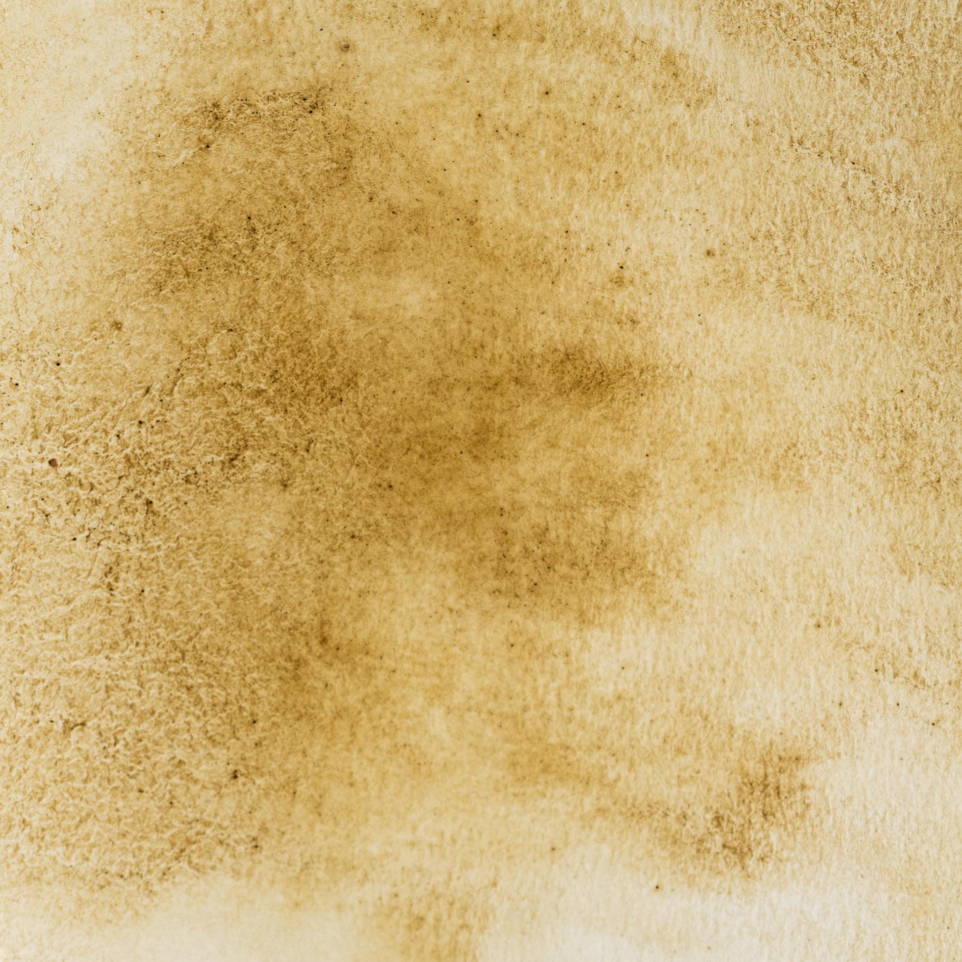 Watercolor painting in deep ruby Pomegranate Lake, a plant-based dye pigment made from fermented pomegranate rind. Historically used in Middle Eastern and Indian dyeing traditions. Handcrafted with honey and gum arabic. Transparent and warm, perfect for botanical work, glazes, and rare natural pigment lovers.