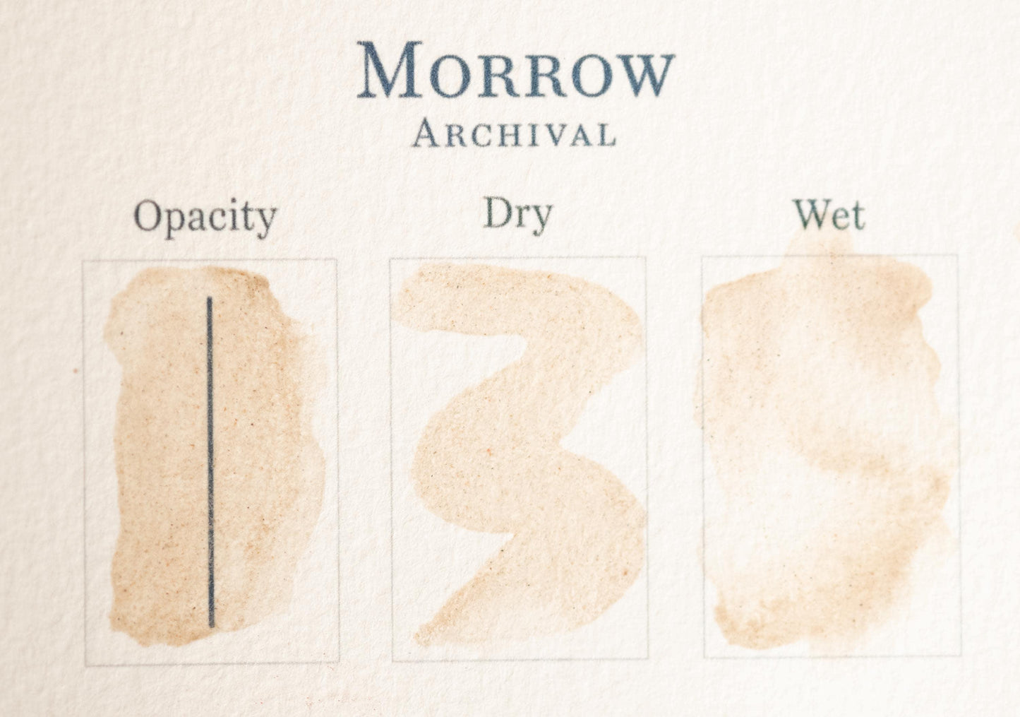 Red Coral Watercolor Paint