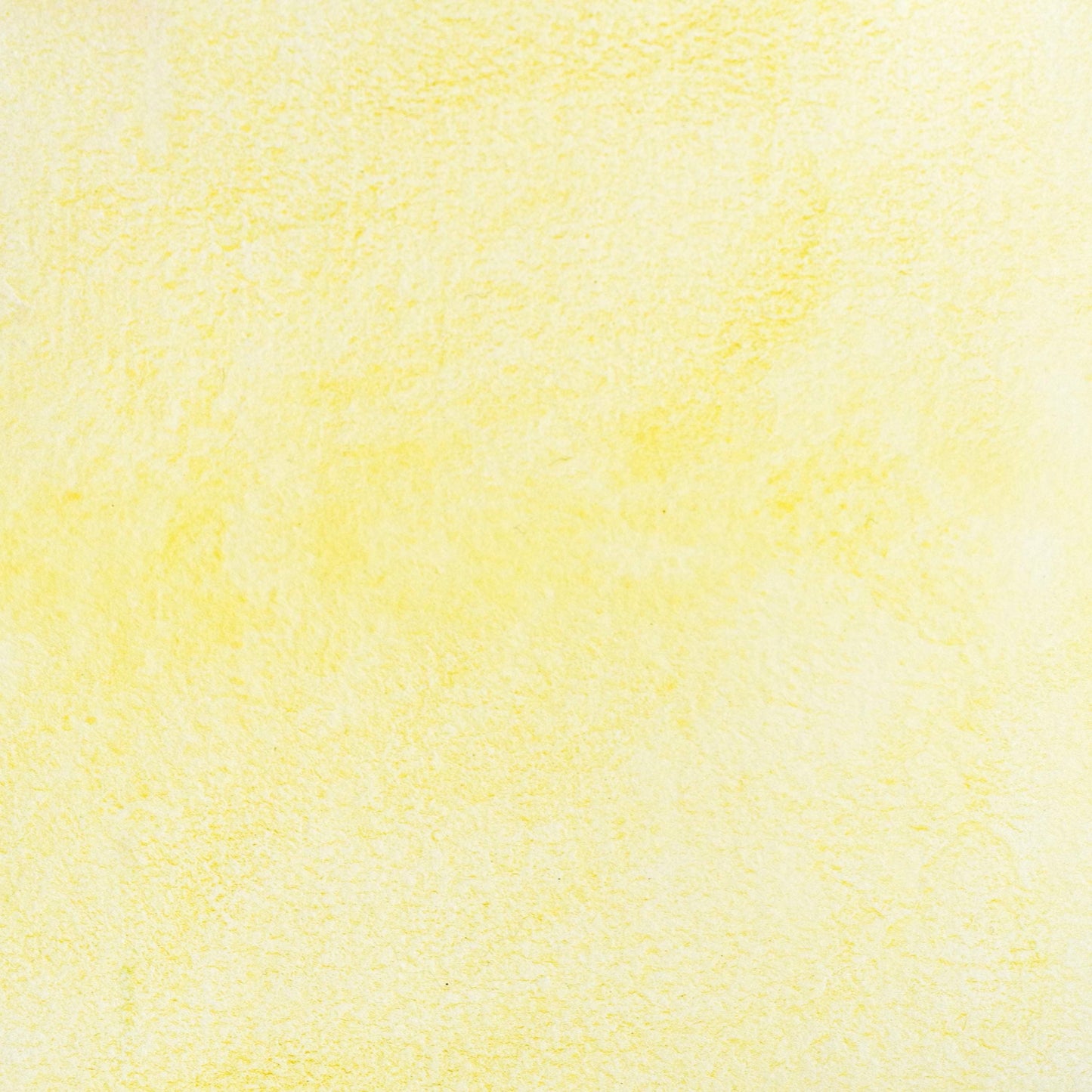 Watercolor painting in luminous light yellow Arzica Weld Lake, a natural lake pigment extracted from weld (Reseda luteola) and handcrafted with honey and gum arabic. Historic botanical color used in medieval manuscripts and Renaissance artwork. Ideal for professional artists and pigment historians seeking bright, transparent historical yellows with subtle warmth. Non-toxic, archival-quality watercolor from plant-based dye tradition.