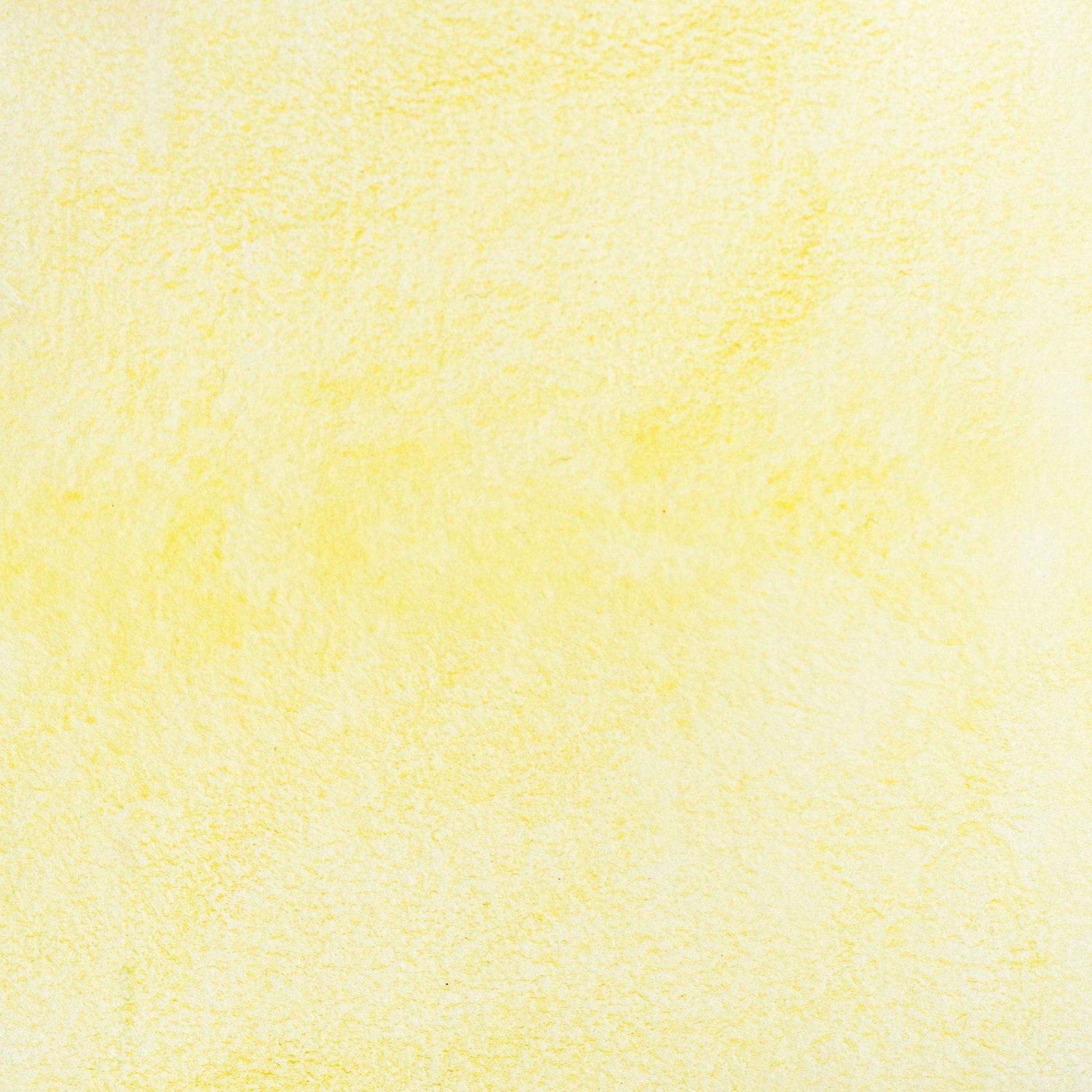 Watercolor painting in luminous light yellow Arzica Weld Lake, a natural lake pigment extracted from weld (Reseda luteola) and handcrafted with honey and gum arabic. Historic botanical color used in medieval manuscripts and Renaissance artwork. Ideal for professional artists and pigment historians seeking bright, transparent historical yellows with subtle warmth. Non-toxic, archival-quality watercolor from plant-based dye tradition.