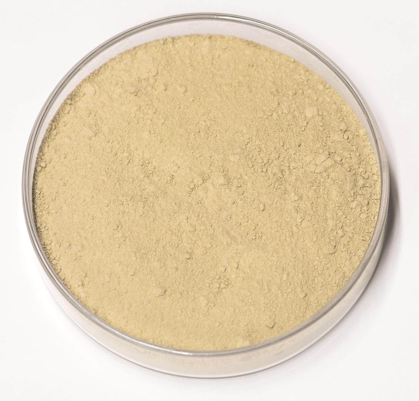 Carpathian Terre Verte Pigment