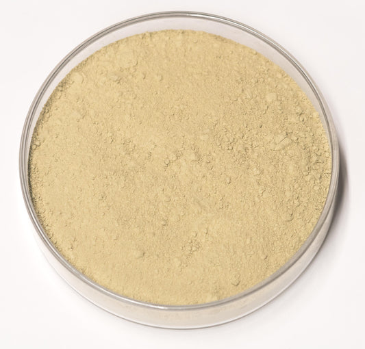 Carpathian Terre Verte Pigment