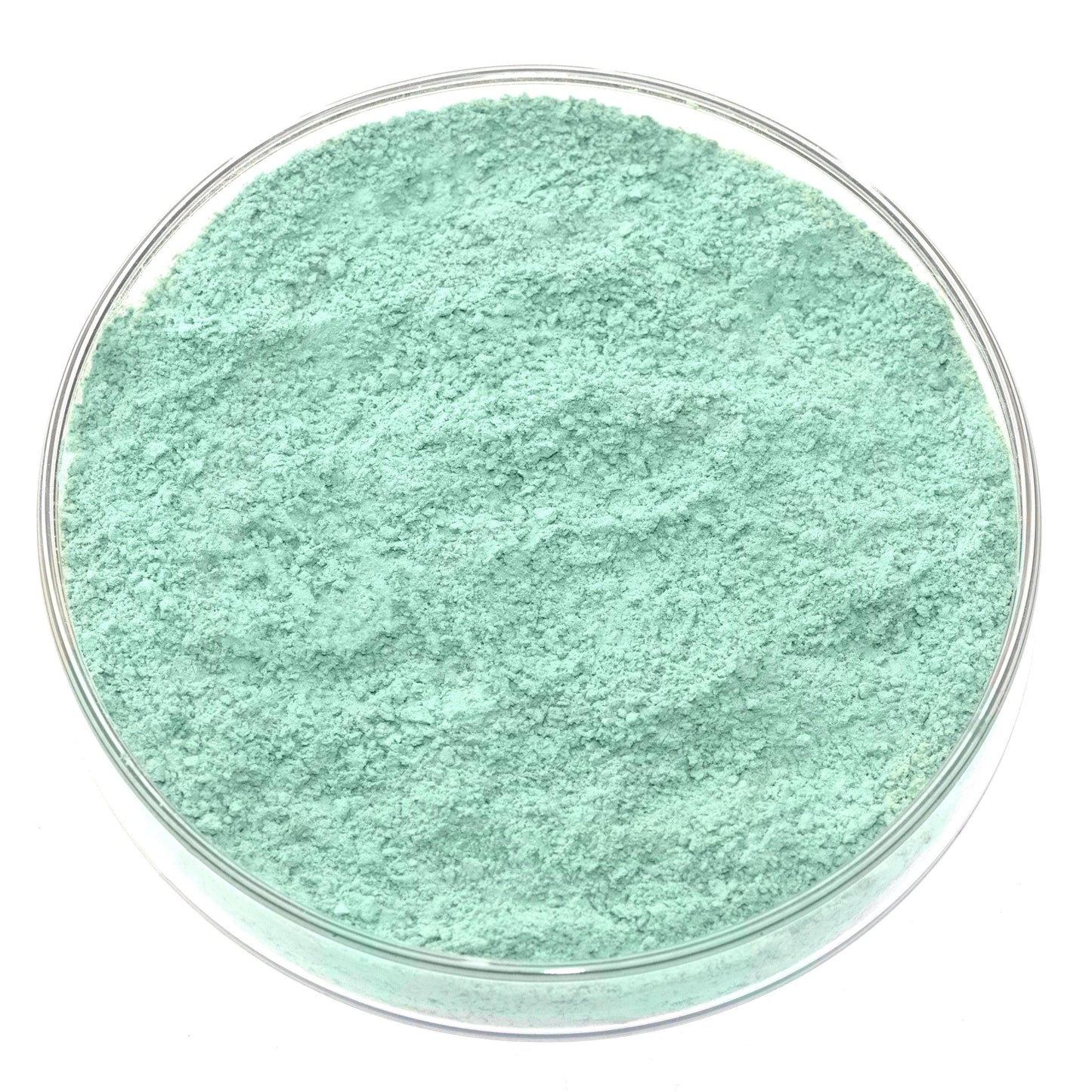 A clear petri dish filled with fine Cypriot Celadonite Green Earth Pigment, showing its light mint-green hue from above against a white background—a stunning natural green earth for handmade artists pigment.