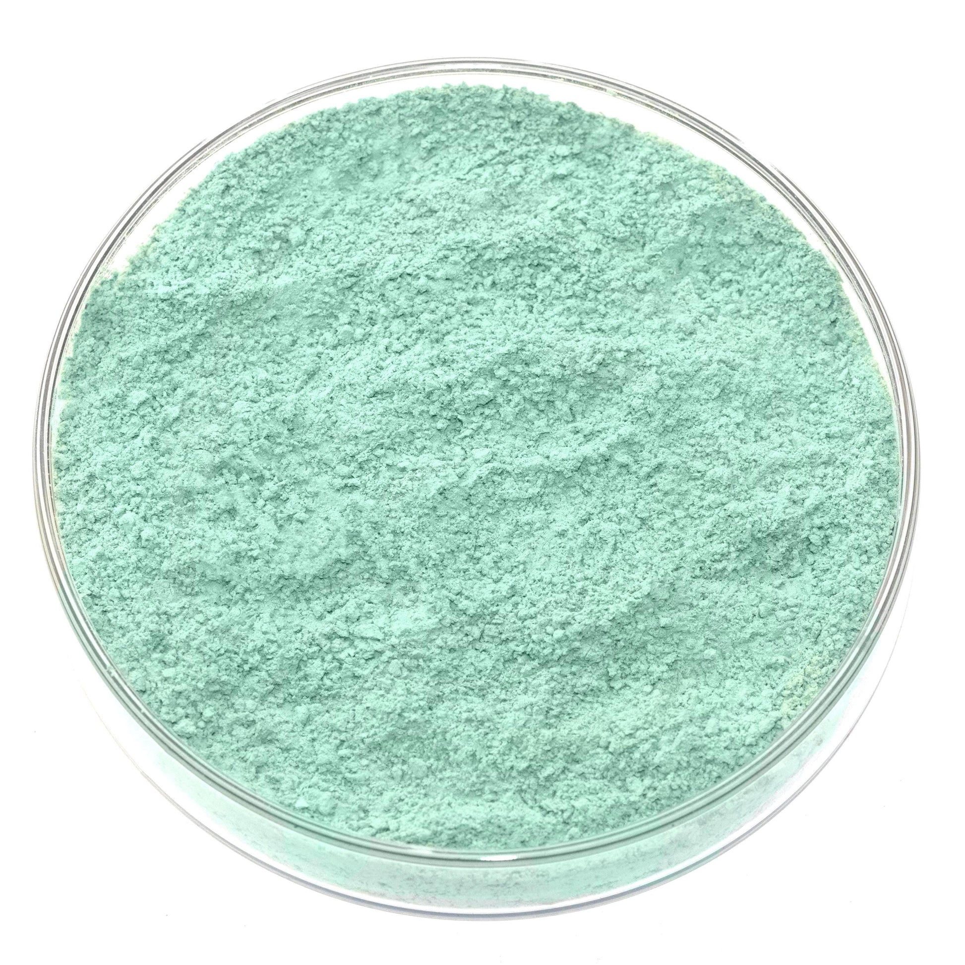 A clear petri dish filled with fine Cypriot Celadonite Green Earth Pigment, showing its light mint-green hue from above against a white background—a stunning natural green earth for handmade artists pigment.