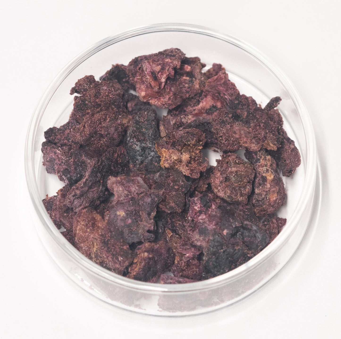Tyrian Purple Whole Hypobranchial Glands