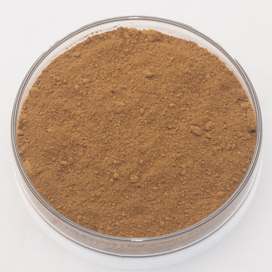 Raw Sienna