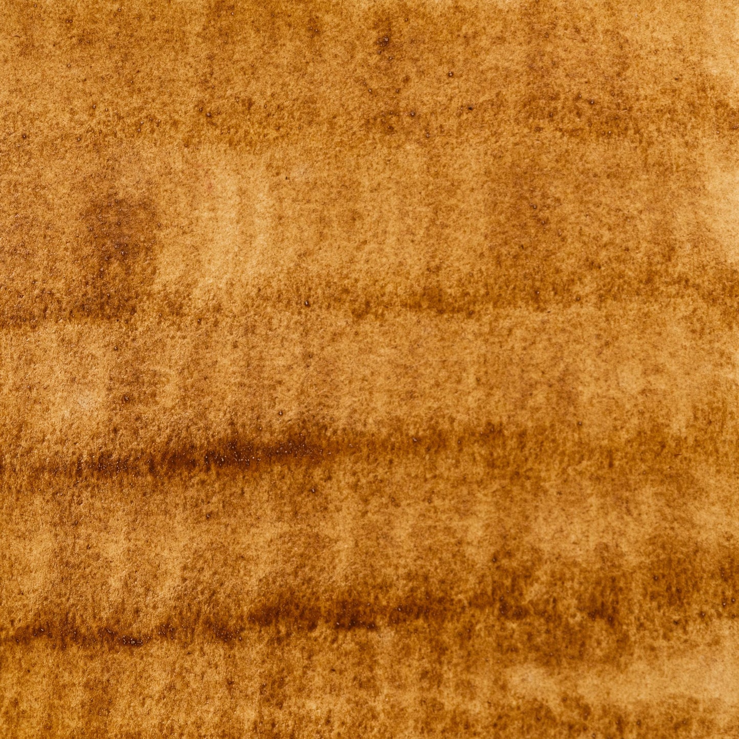 Watercolor painting in warm golden Raw Sienna, a natural earth pigment from Tuscany, unheated to preserve its original tone. Used since antiquity in frescoes and portraiture. Handcrafted with honey and gum arabic. Lightfast, earthy, and granulating‚Äîperfect for figure studies and classical underpainting.