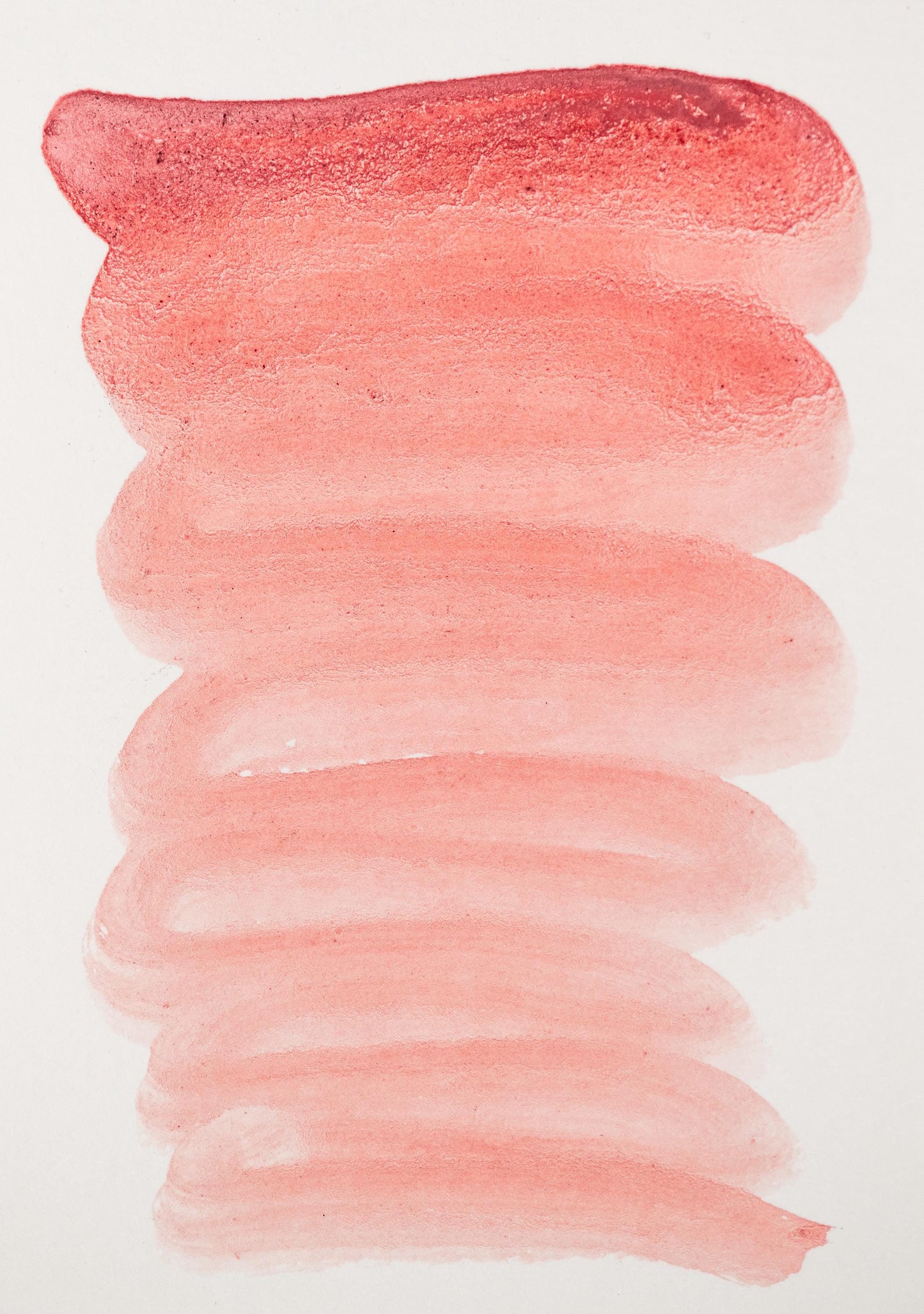 Rich botanical swatch of Brazilwood and Sappanwood Pink Lake ink, displaying a vivid rose-magenta gradient. The color transitions from deep pink to a delicate blush, showcasing the organic warmth and layering of this natural plant-based dye used in traditional and historical palettes.