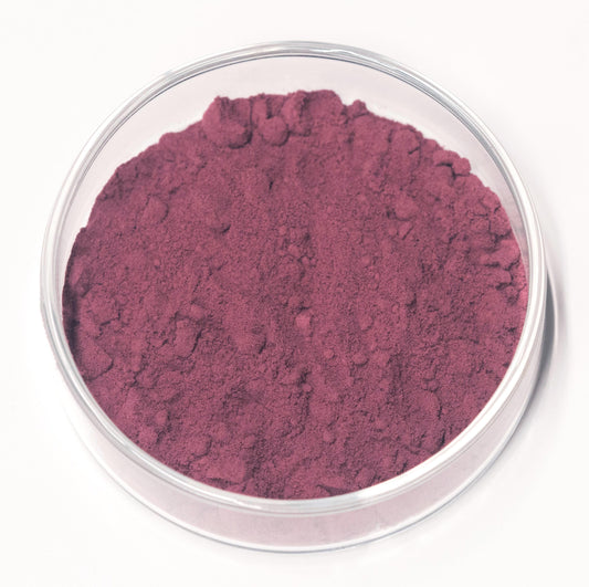 Tyrian Purple Bolinus Brandaris Pigment