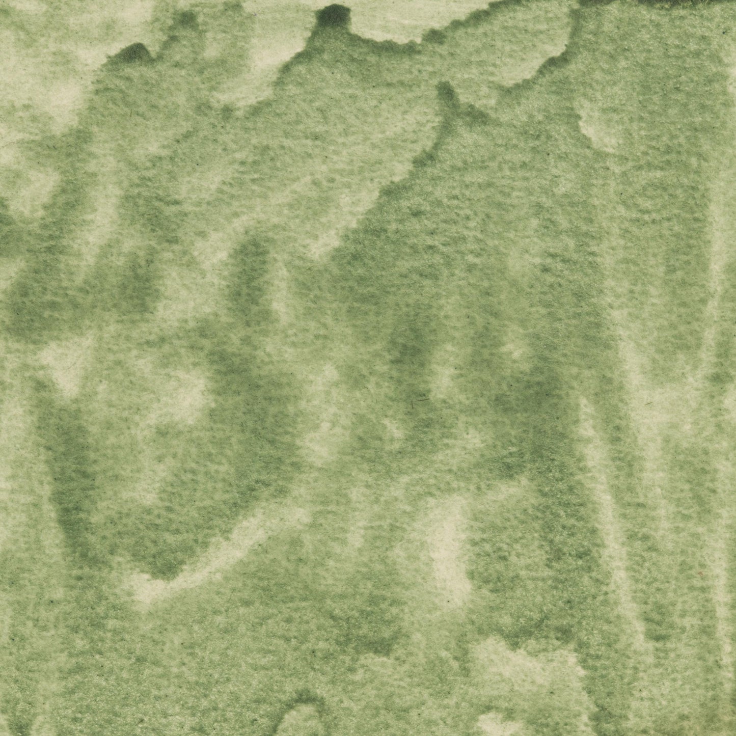 Watercolor painting in muted, cool Celadonite Green Earth, a natural mineral pigment composed of potassium iron silicate, historically mined in Europe and the Middle East. Used in medieval and Renaissance painting for underpainting and natural landscapes. Handcrafted with pure pigment, honey, and gum arabic for archival, professional quality. Lightfast, granulating, and ideal for classical palettes, botanical art, and historical re-creation.