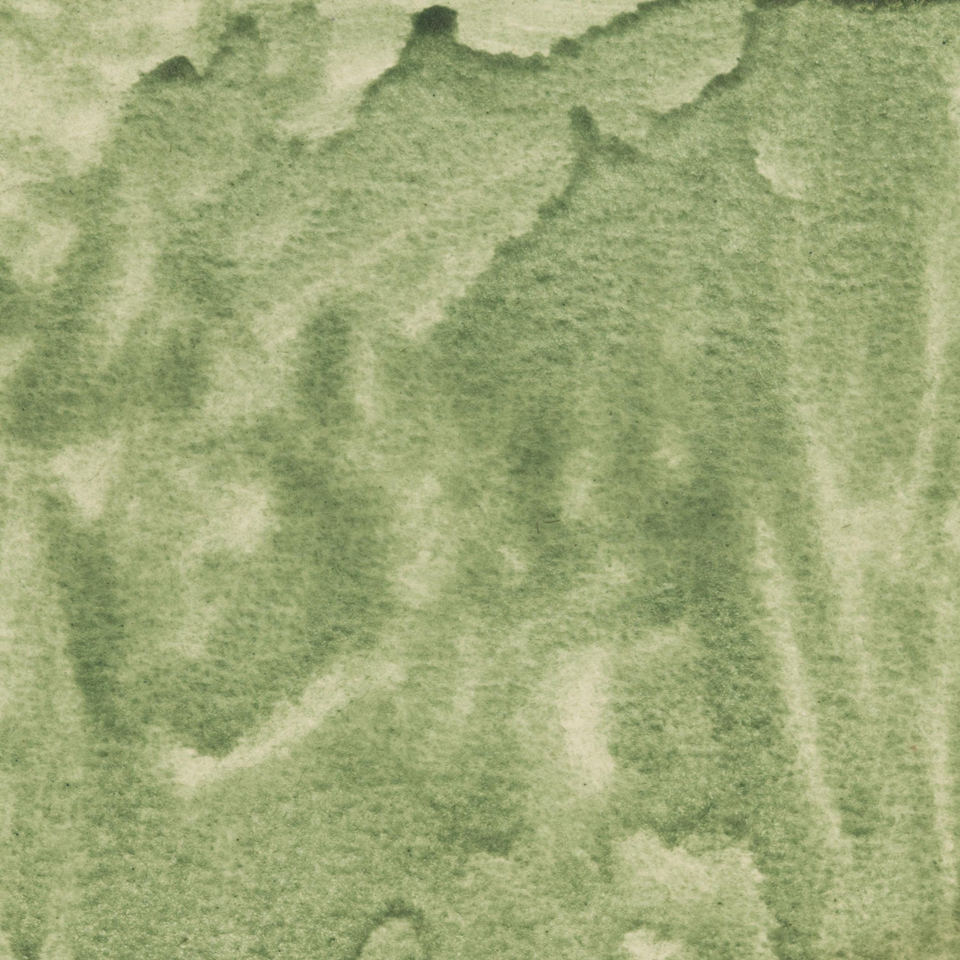 Watercolor painting in muted, cool Celadonite Green Earth, a natural mineral pigment composed of potassium iron silicate, historically mined in Europe and the Middle East. Used in medieval and Renaissance painting for underpainting and natural landscapes. Handcrafted with pure pigment, honey, and gum arabic for archival, professional quality. Lightfast, granulating, and ideal for classical palettes, botanical art, and historical re-creation.