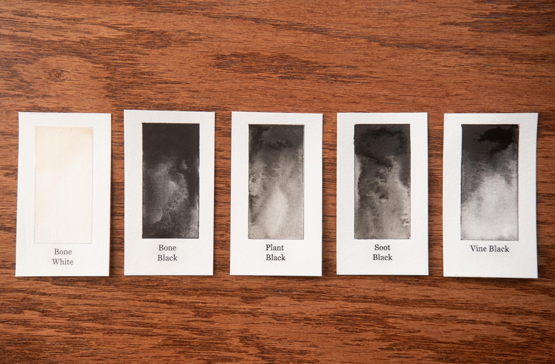 five identical cards, each containing a black and white watercolor painting of a plant or animal. The cards are arranged in a row on a wooden surface, and each card has a label indicating the color of the painting, which are "Bone White", "Bone Black", "Plant Black", "Soot Black", and "Vine Black".